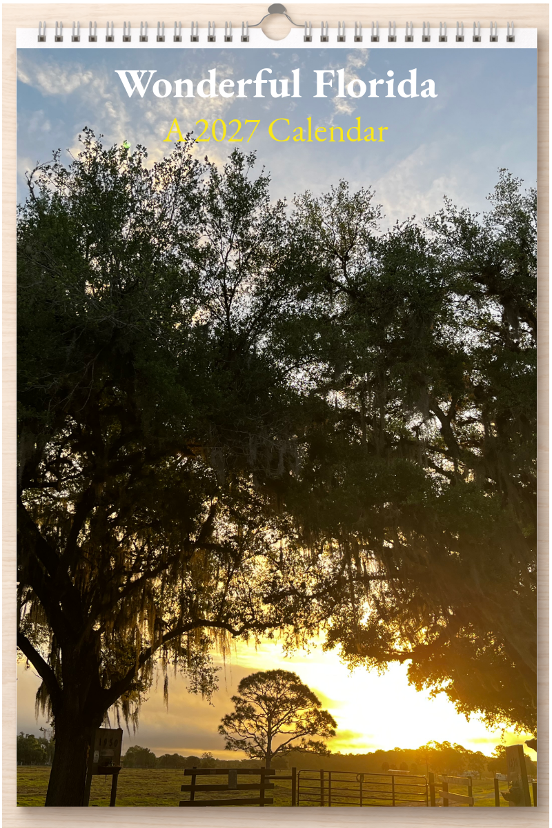 Wonderful Florida: A 2027 Calendar