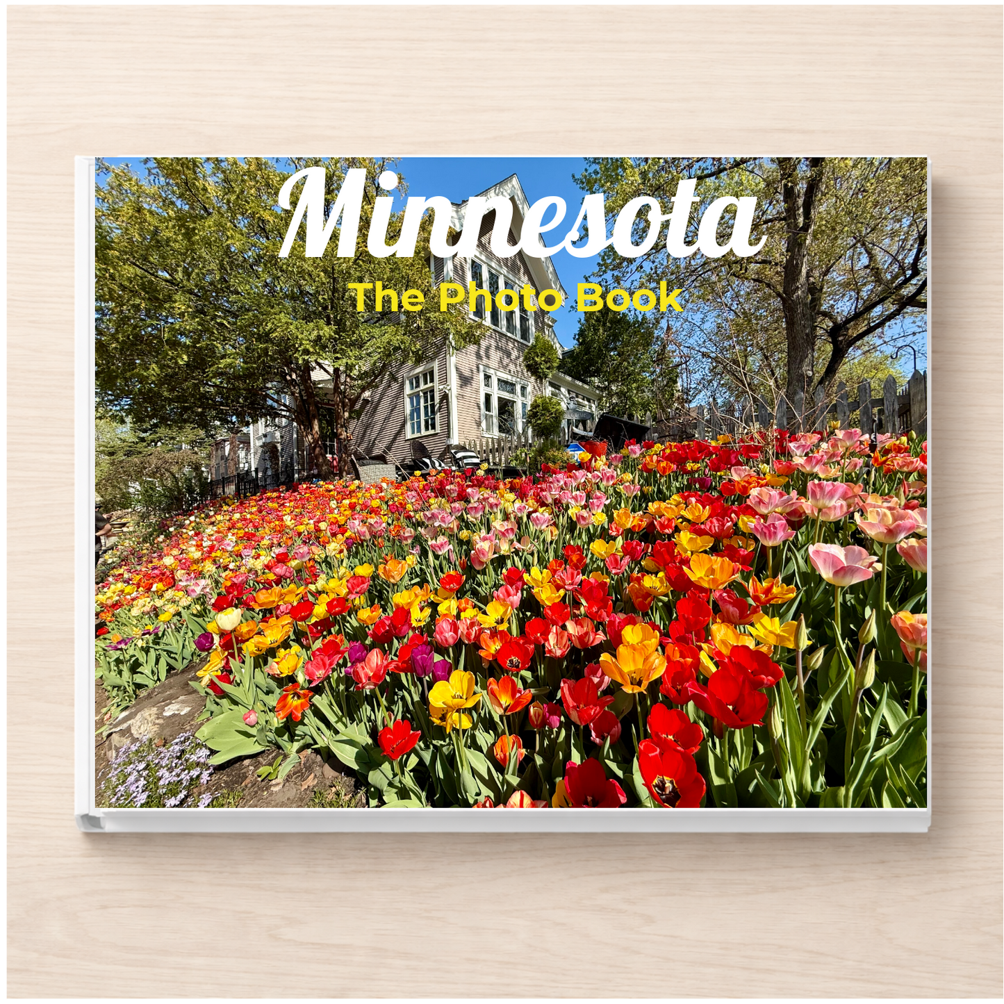 Minnesota: The Photo Book