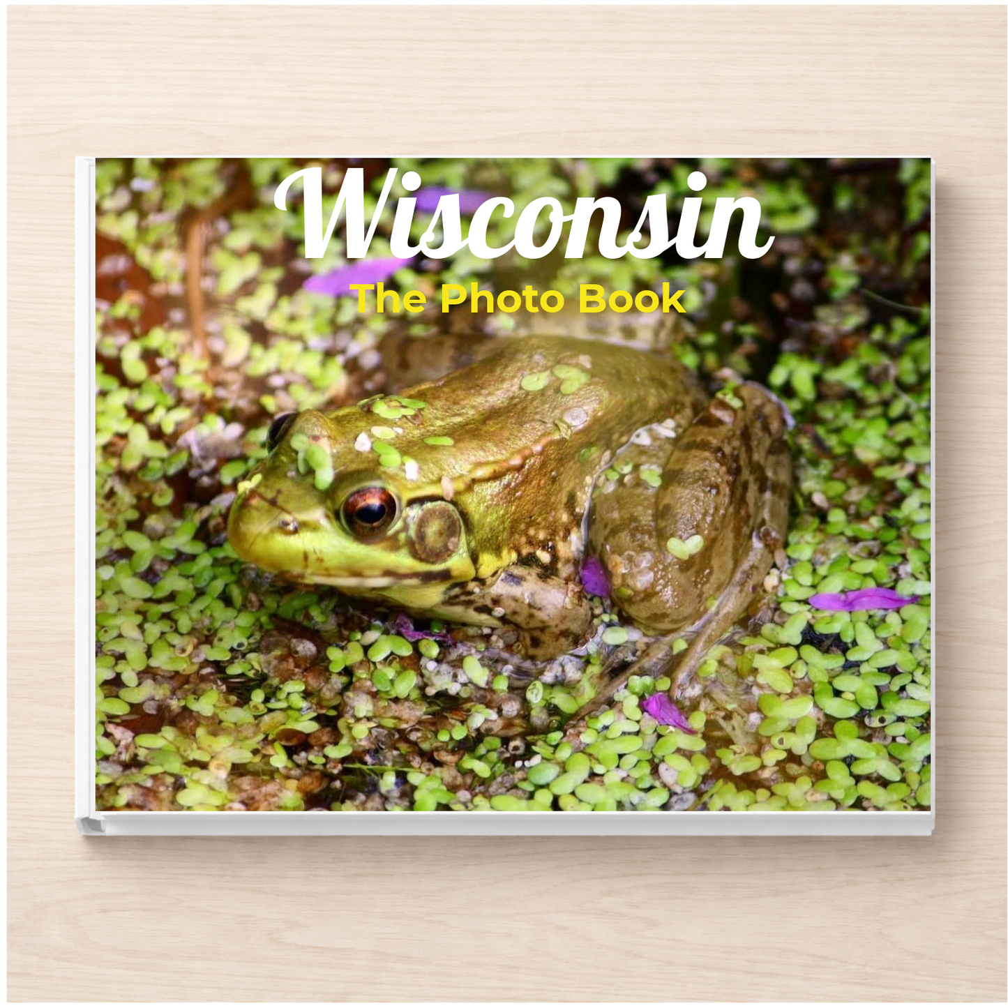 Wisconsin: The Photo Book