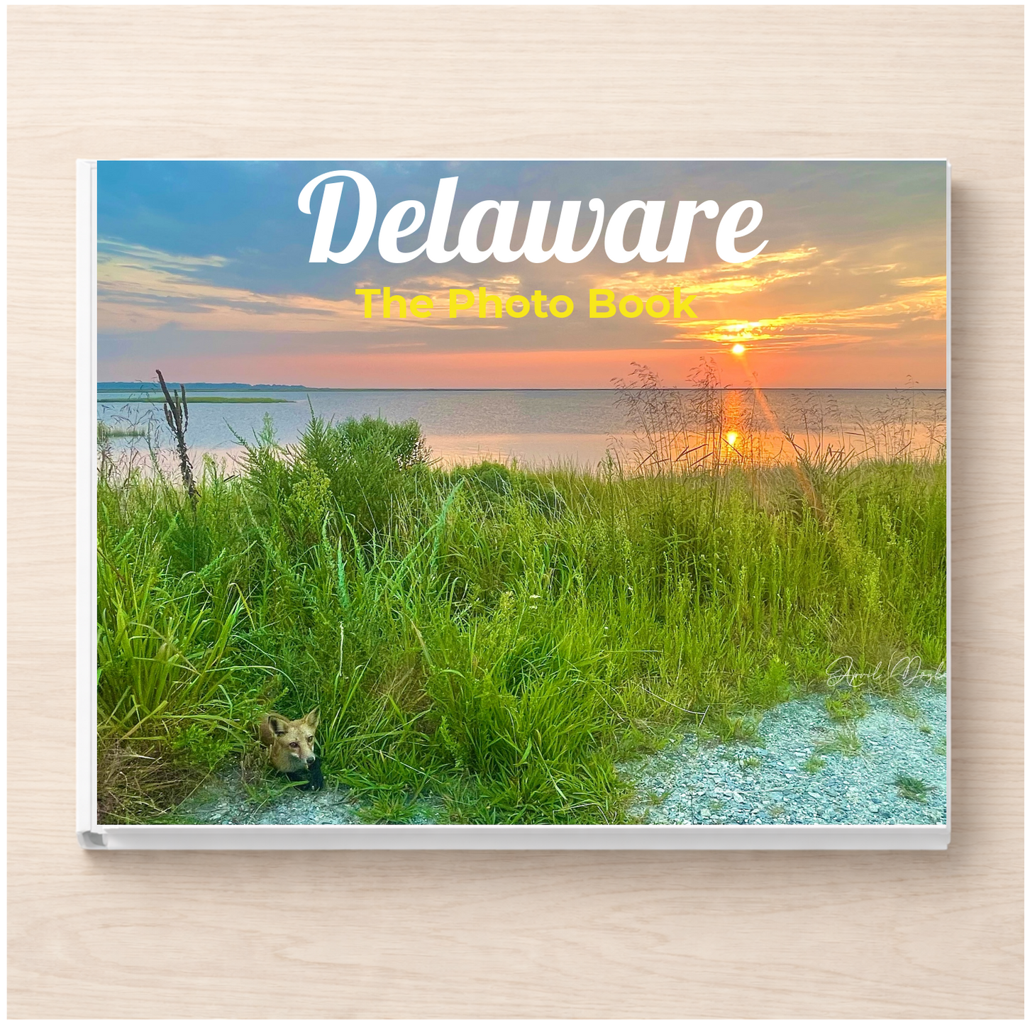 Delaware: The Photo Book
