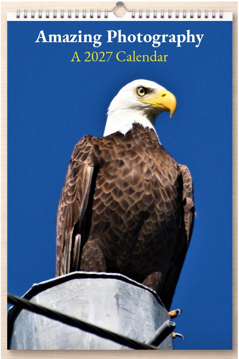 Amazing Photography: A 2027 Calendar