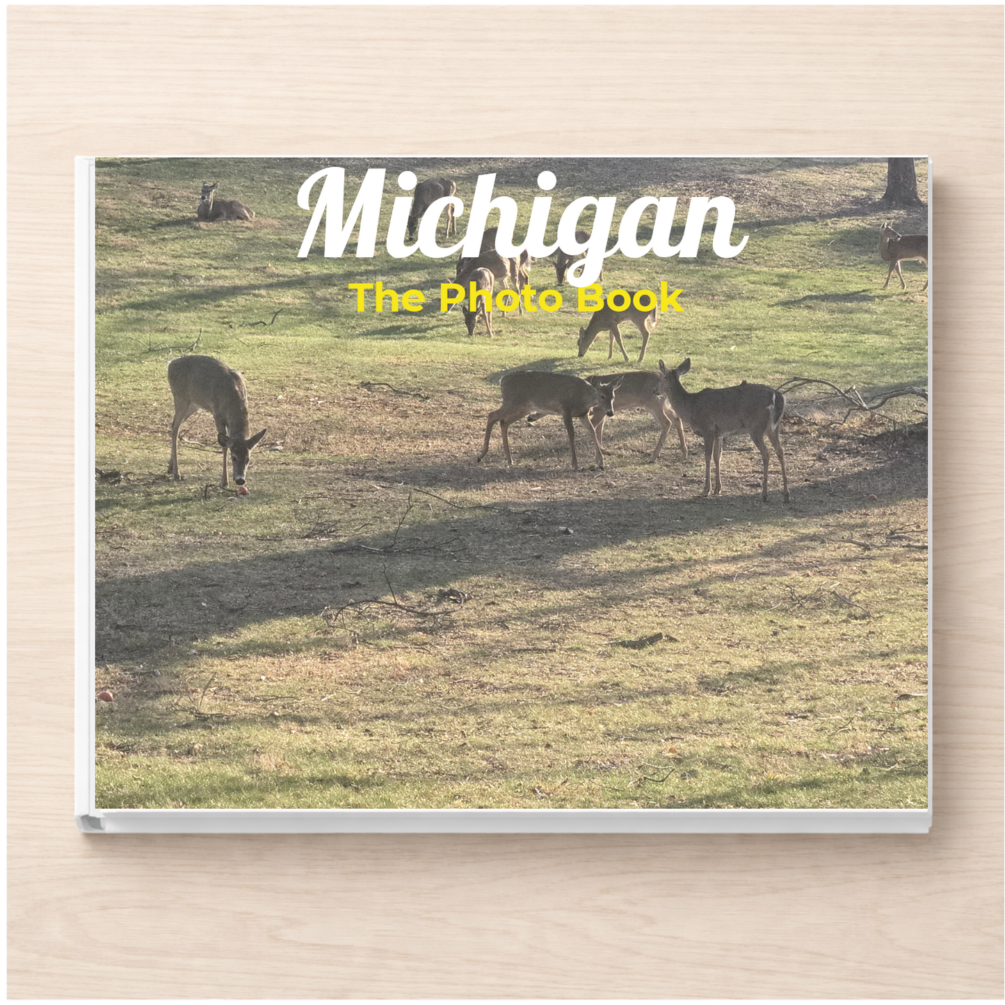 Michigan: The Photo Book
