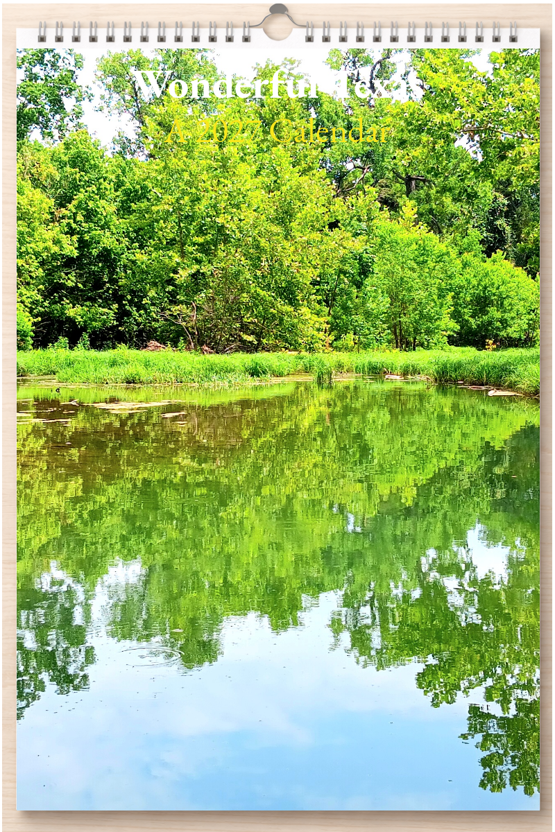 Wonderful Texas: A 2027 Calendar
