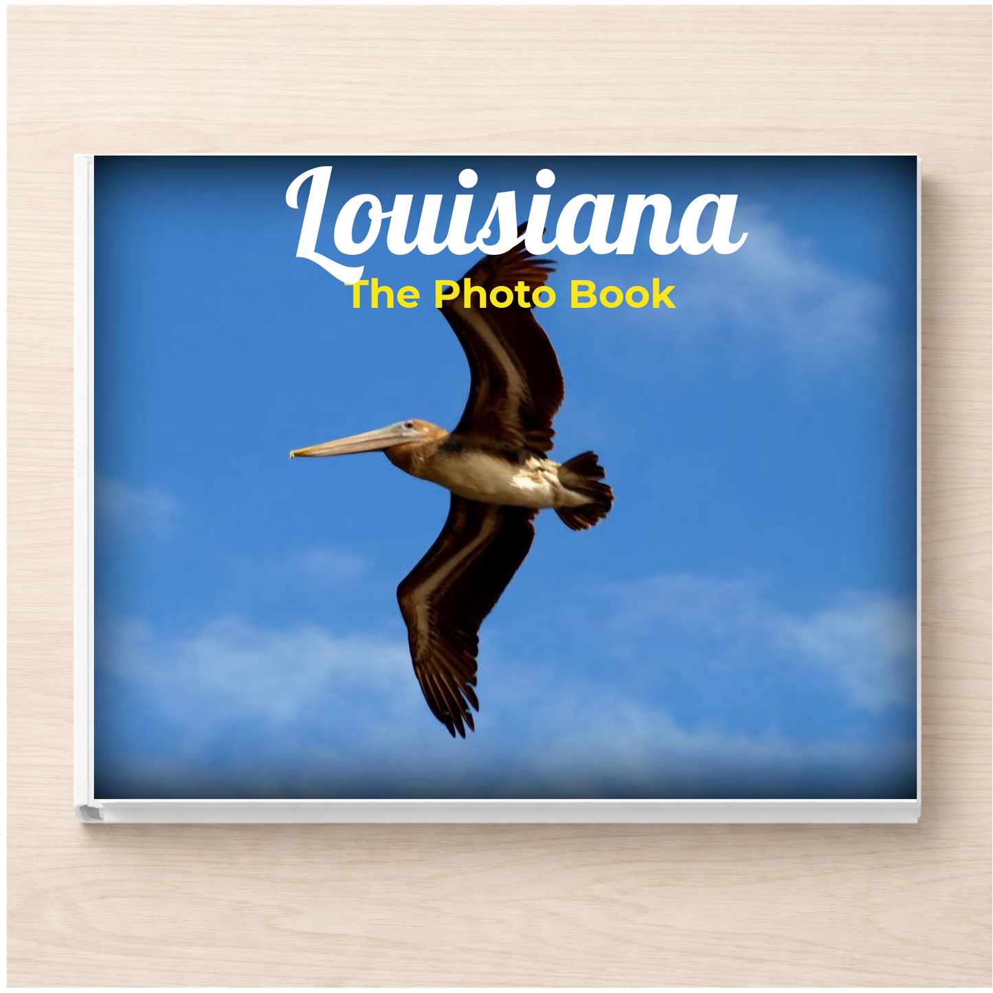 Louisiana: The Photo Book