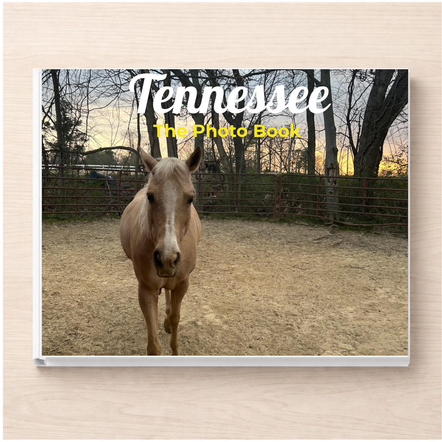 Tennessee: The Photo Book