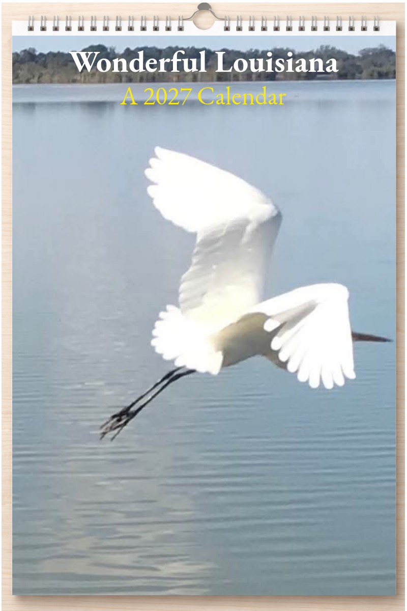 Wonderful Louisiana: A 2027 Calendar