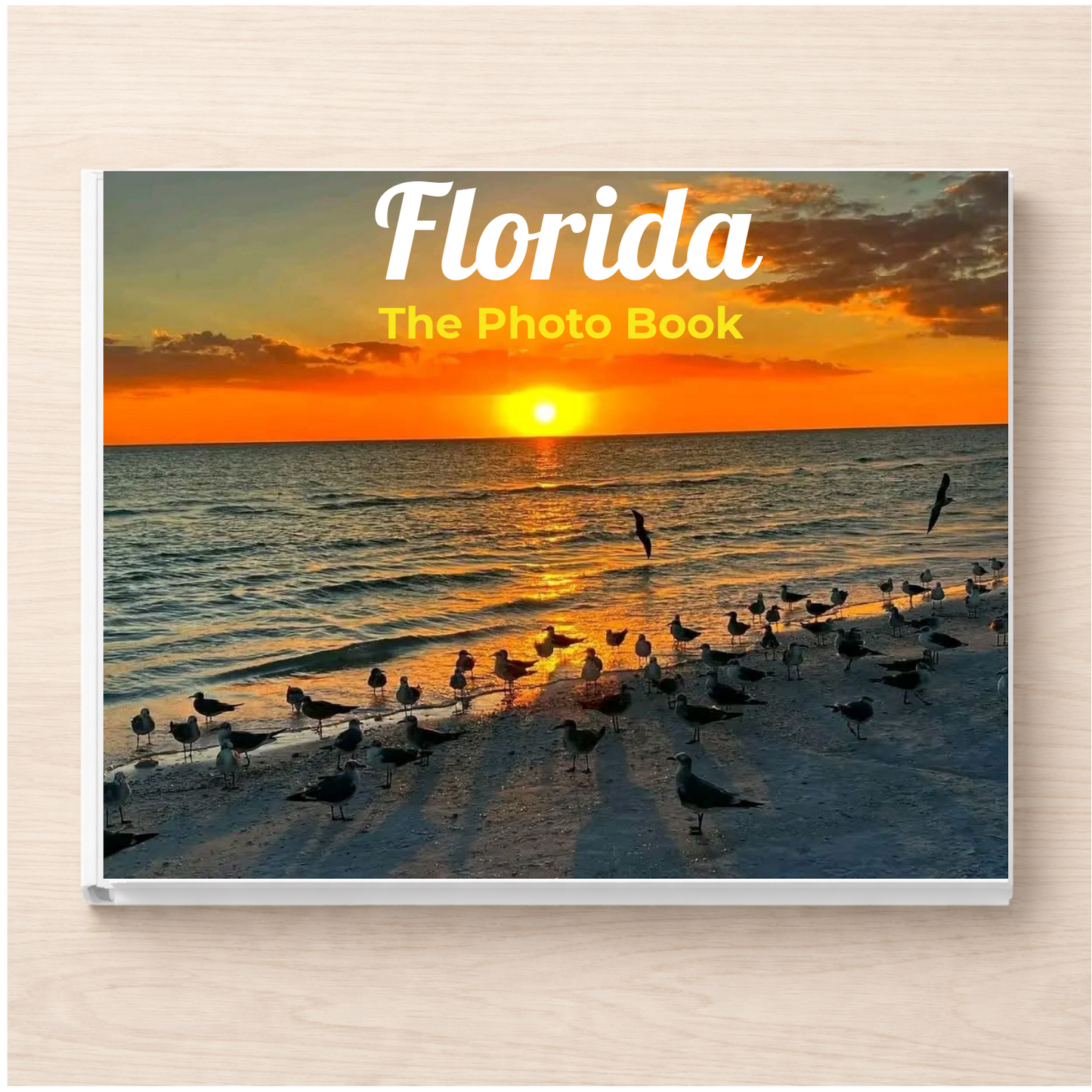 Florida: The Photo Book