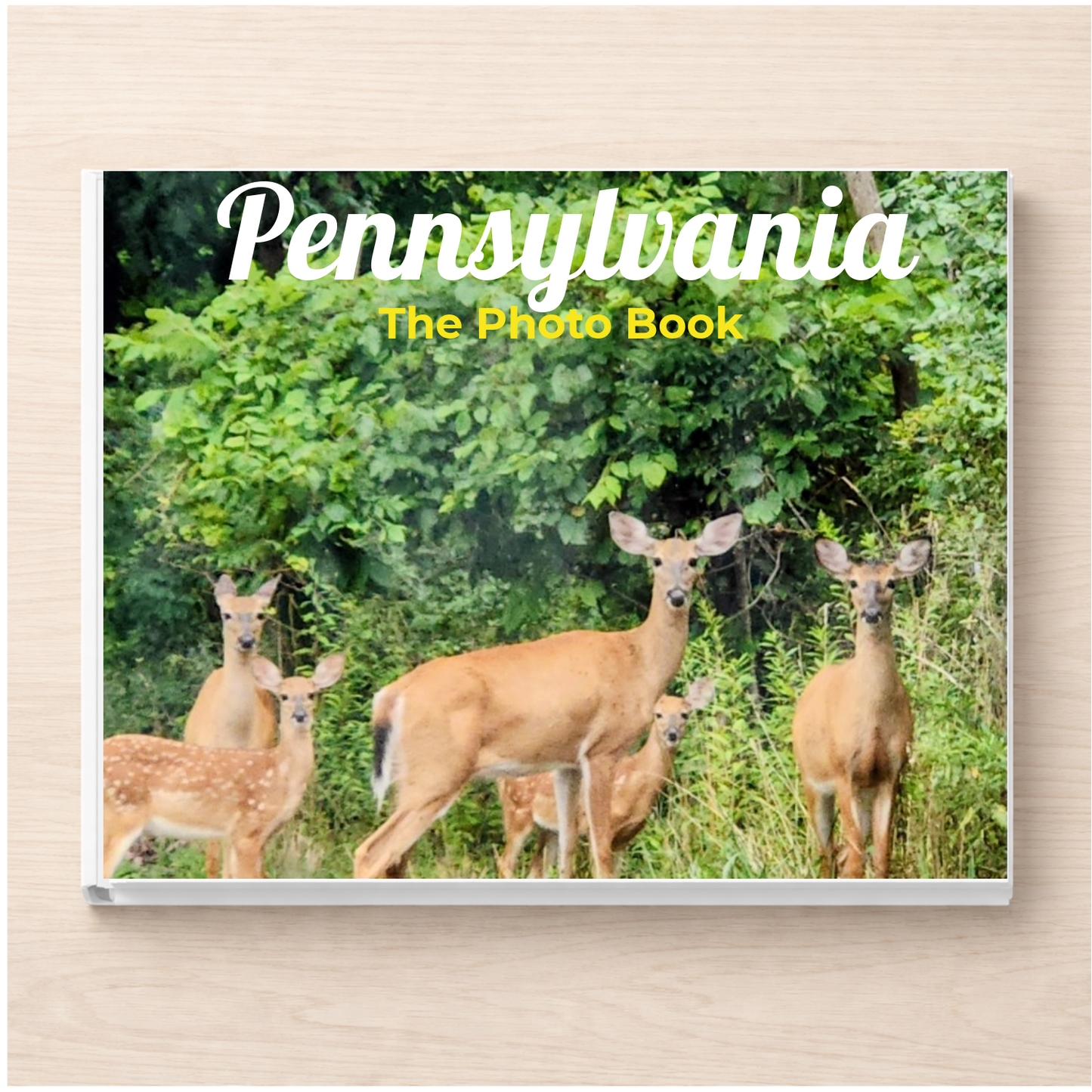 Pennsylvania: The Photo Book