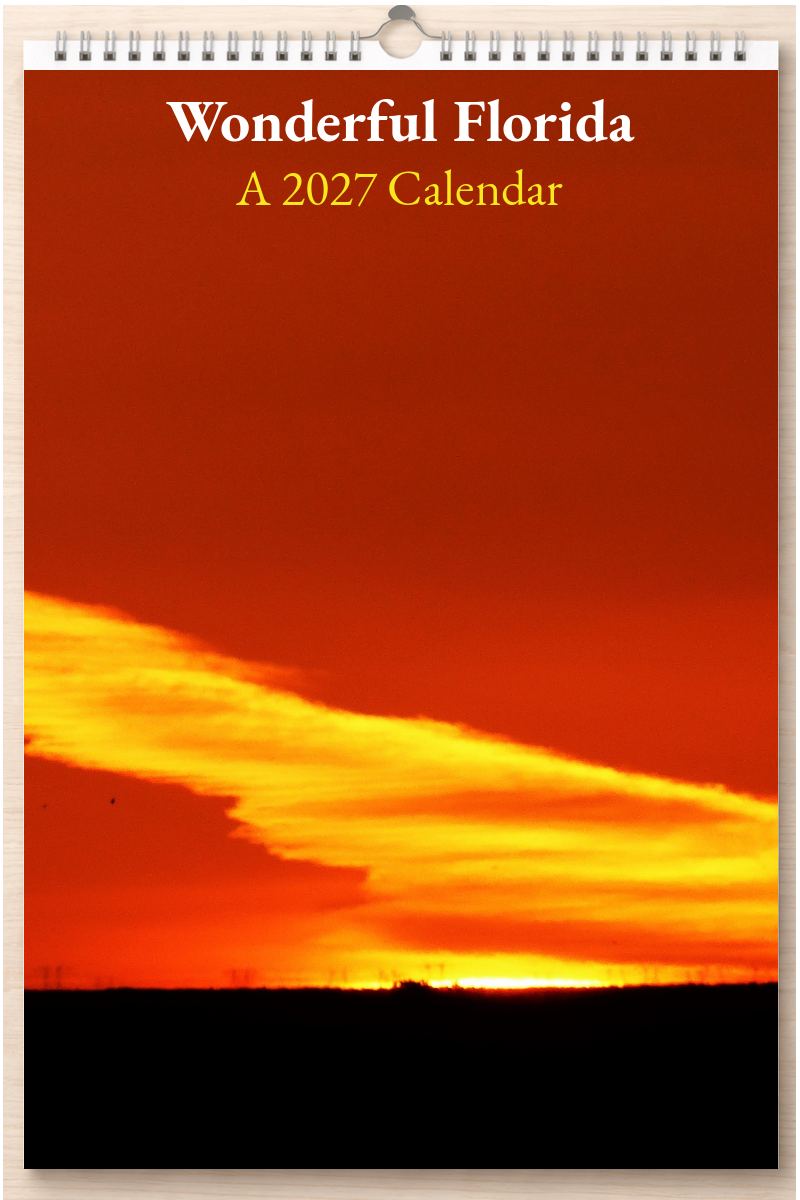 Wonderful Florida: A 2027 Calendar