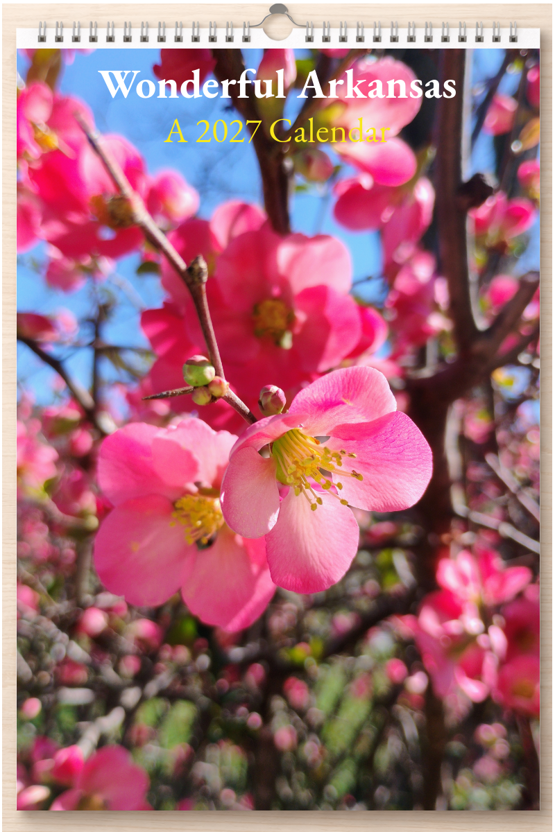 Wonderful Arkansas: A 2027 Calendar