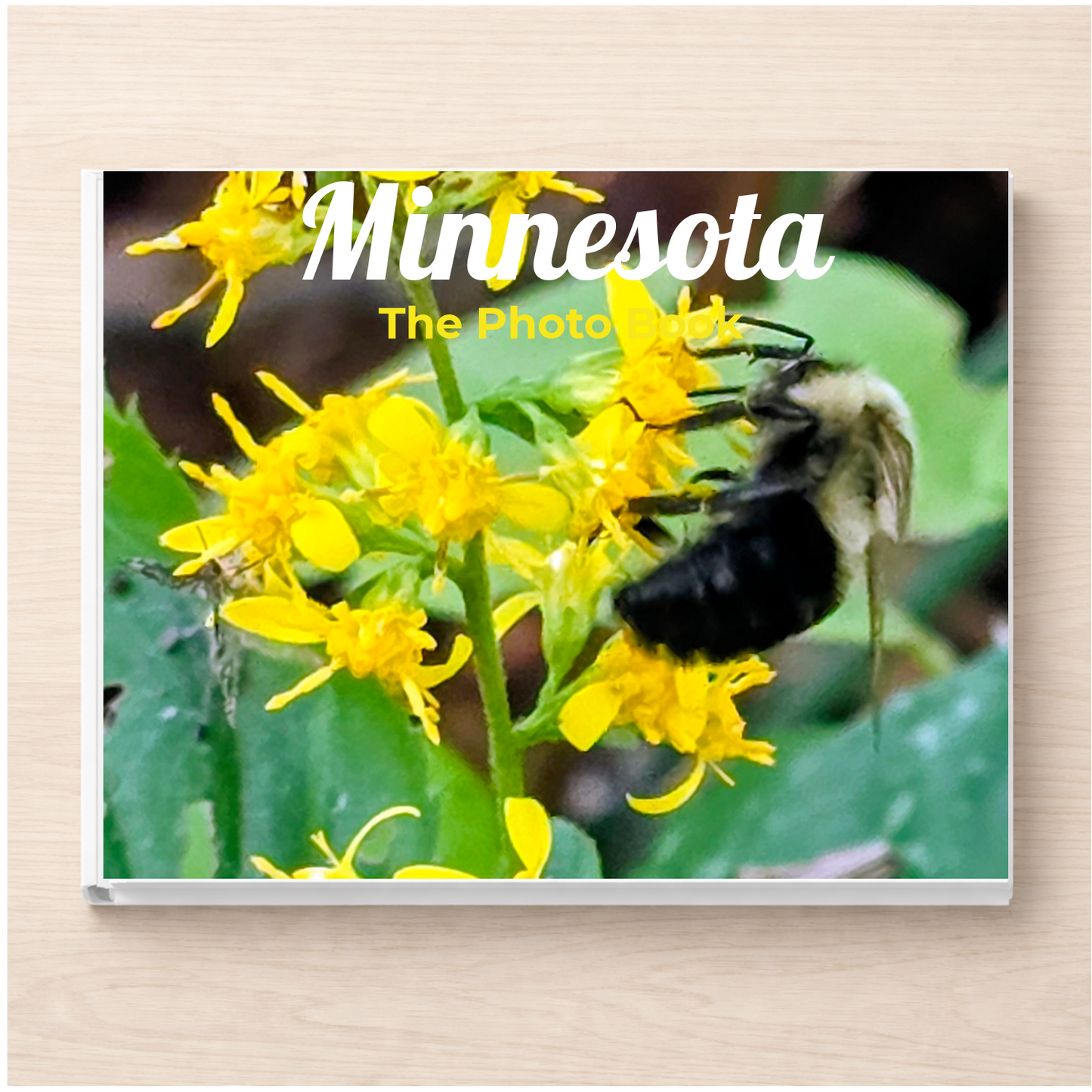 Minnesota: The Photo Book