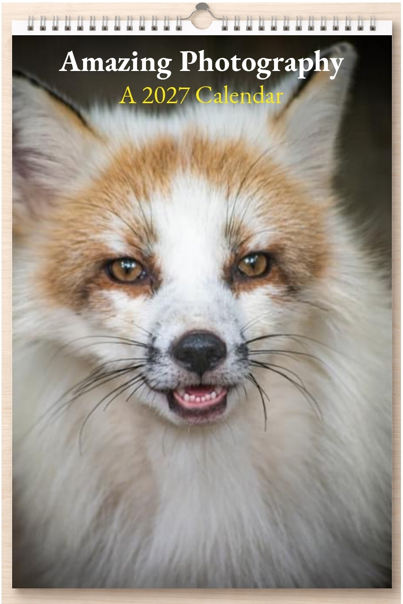 Amazing Photography: A 2027 Calendar