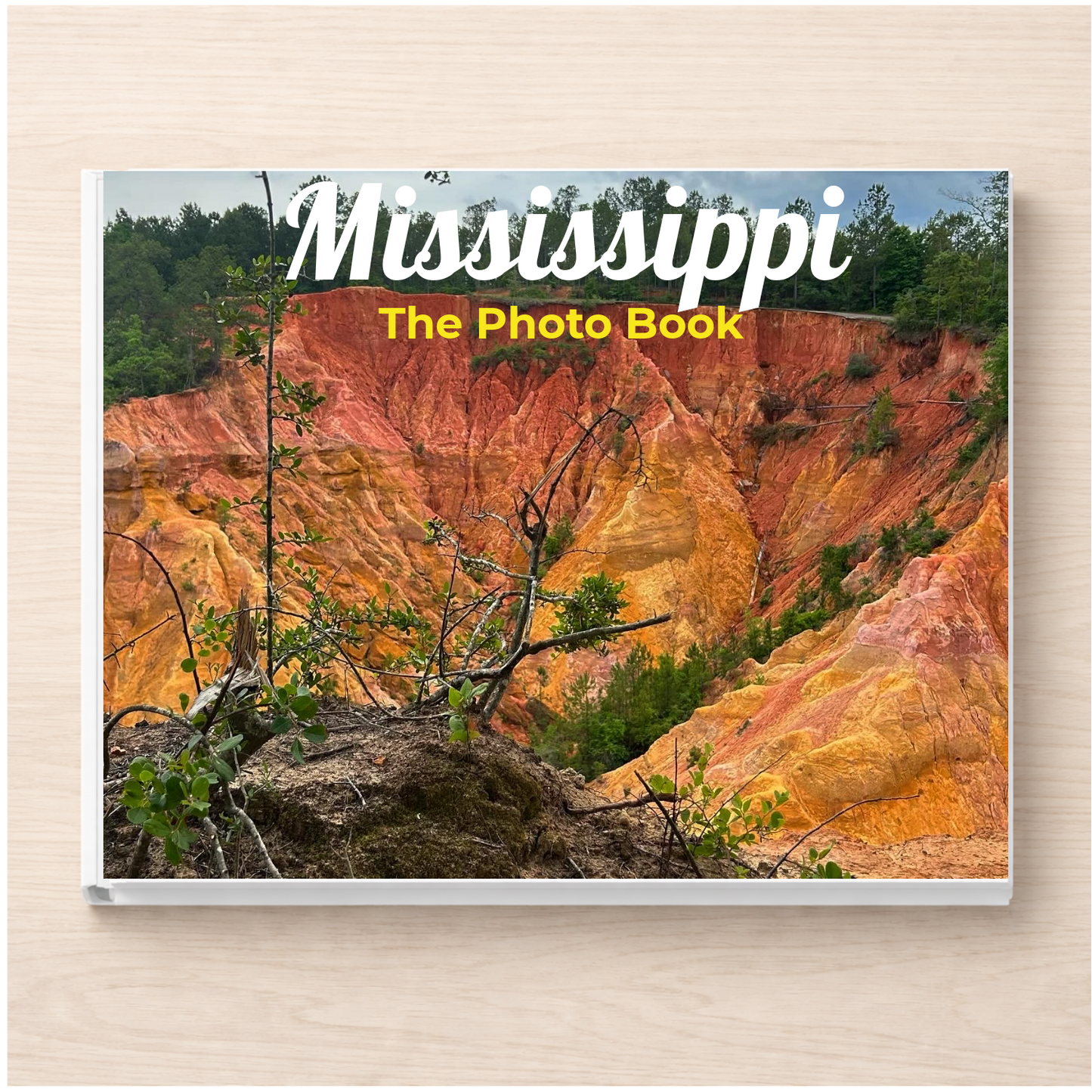 Mississippi: The Photo Book