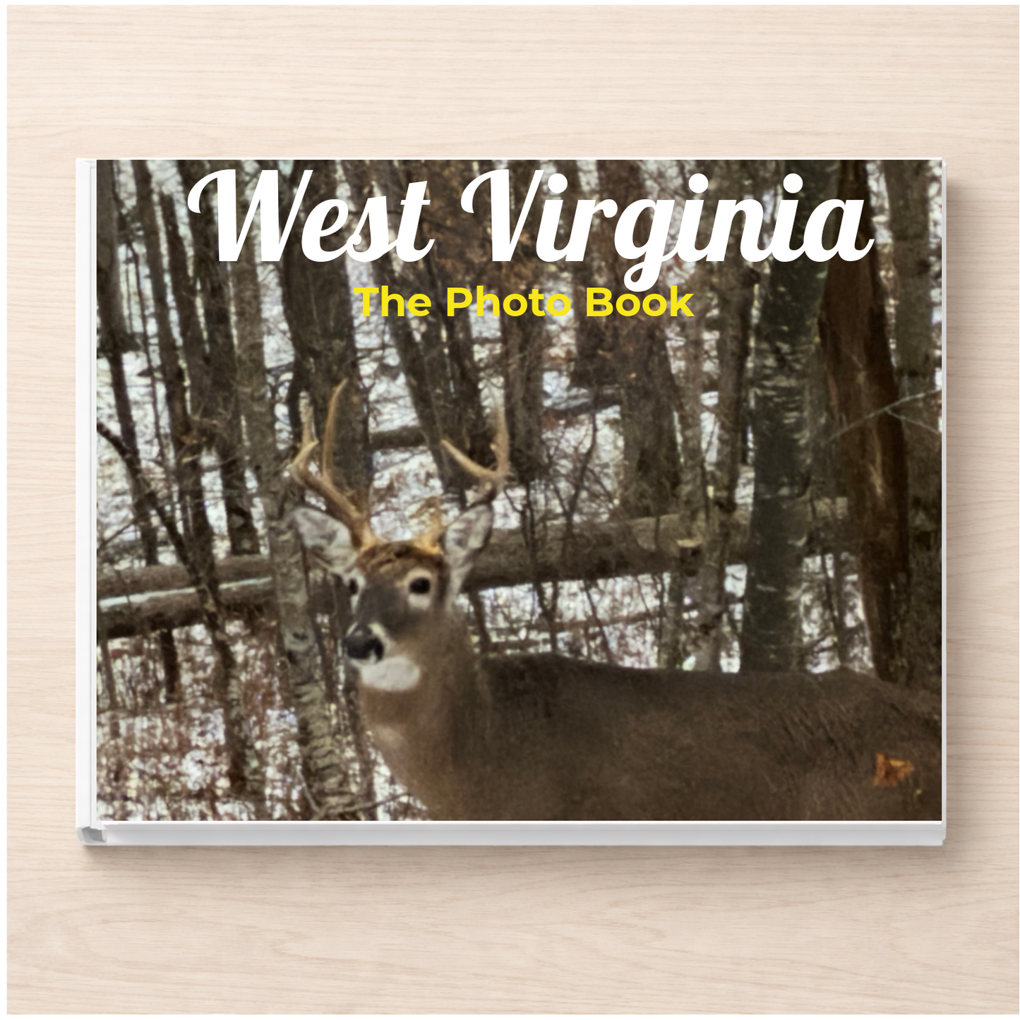 West Virginia: The Photo Book