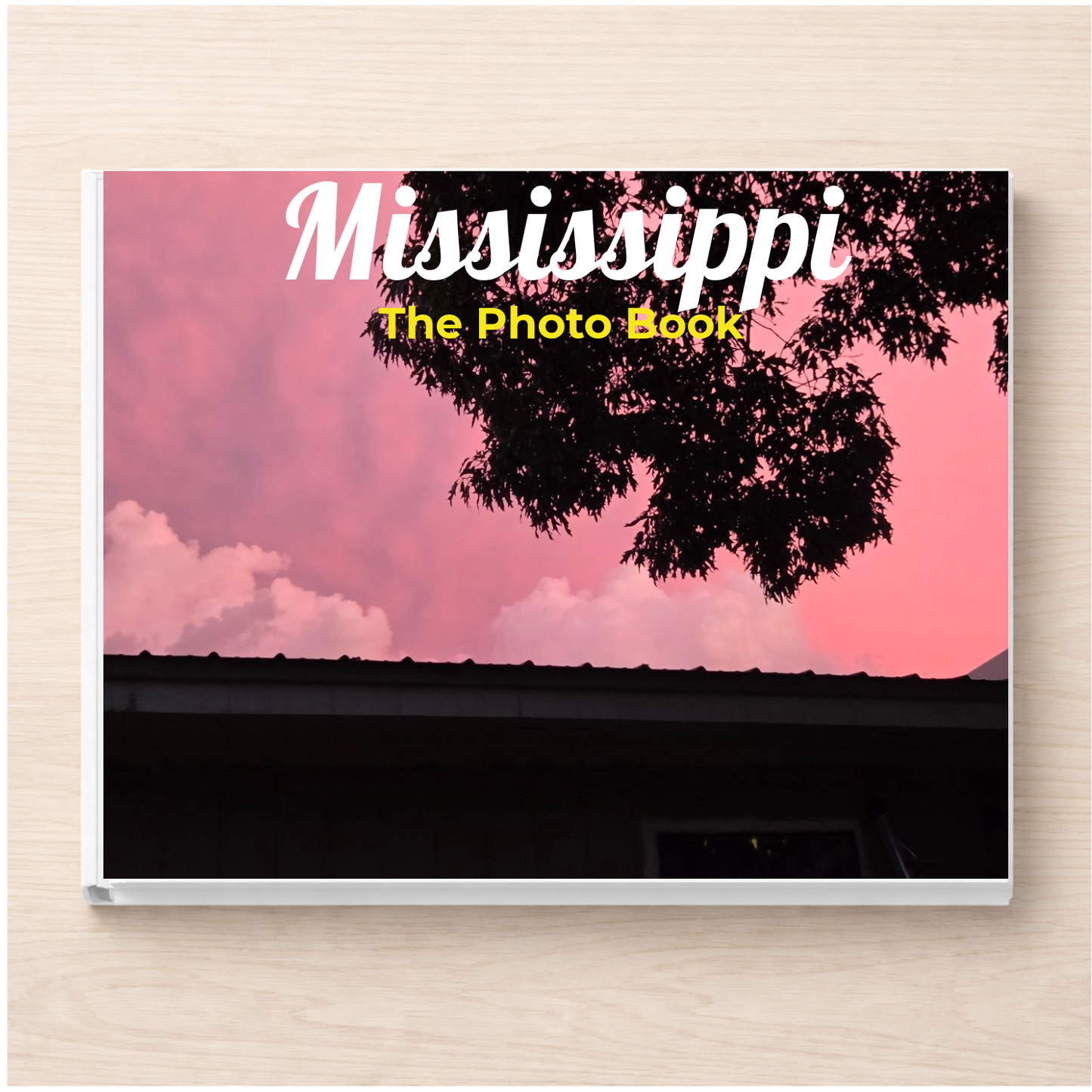 Mississippi: The Photo Book