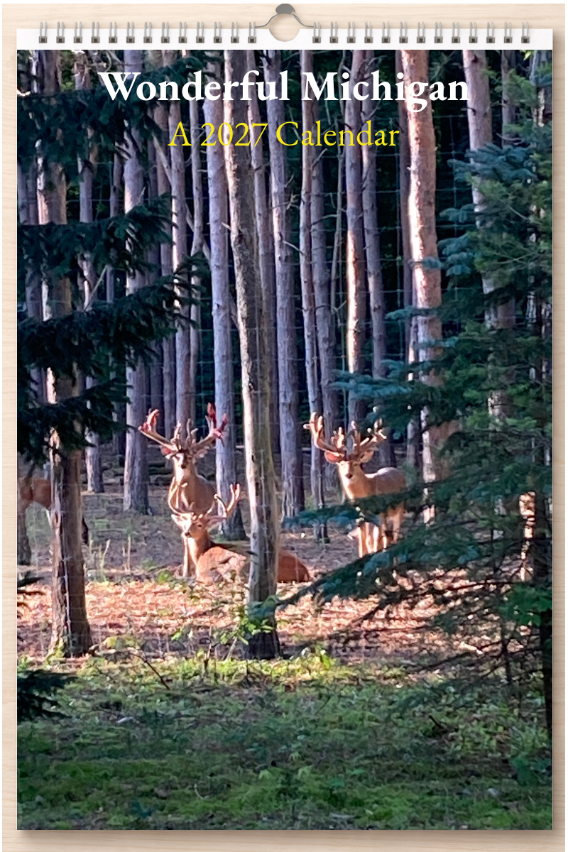 Wonderful Michigan: A 2027 Calendar