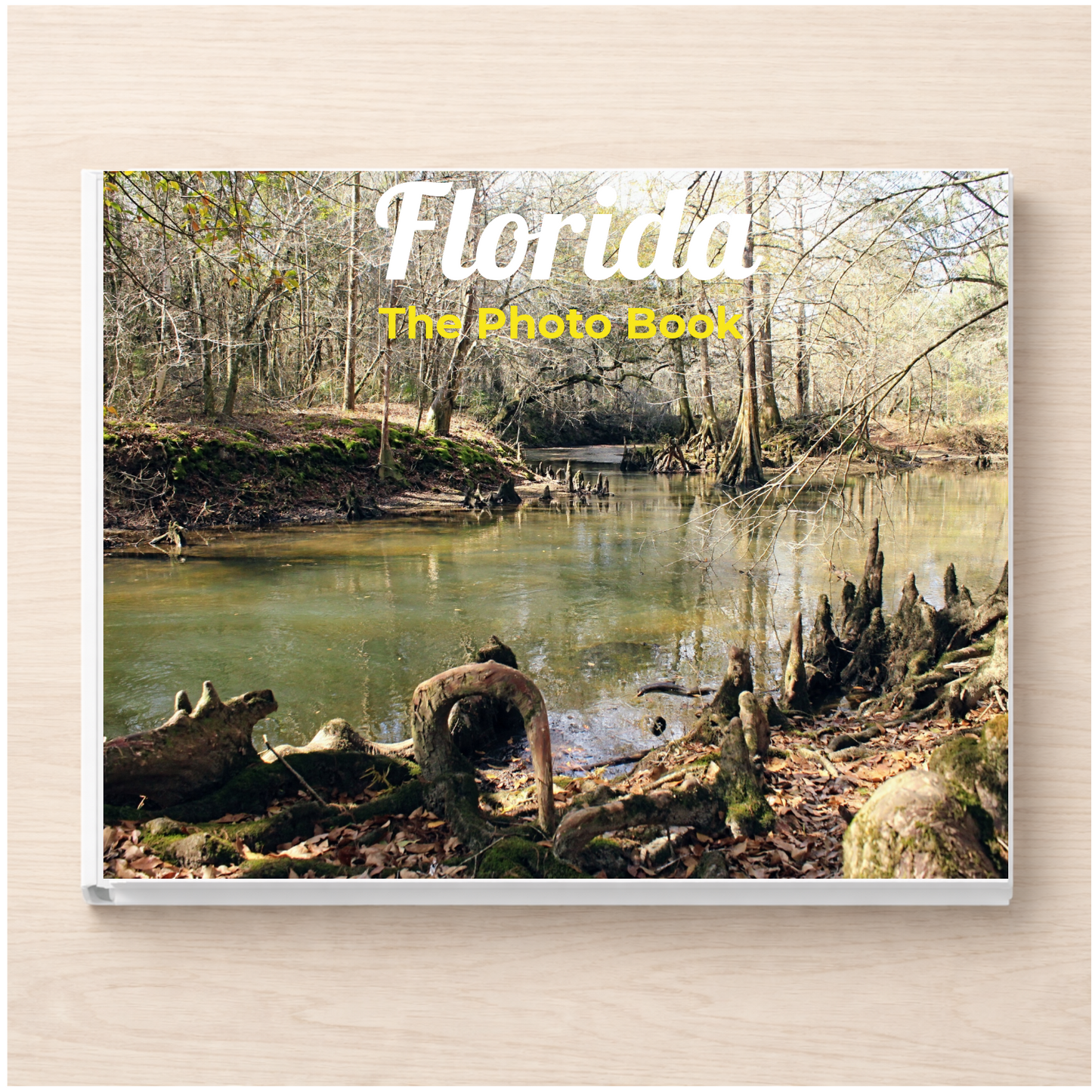 Florida: The Photo Book