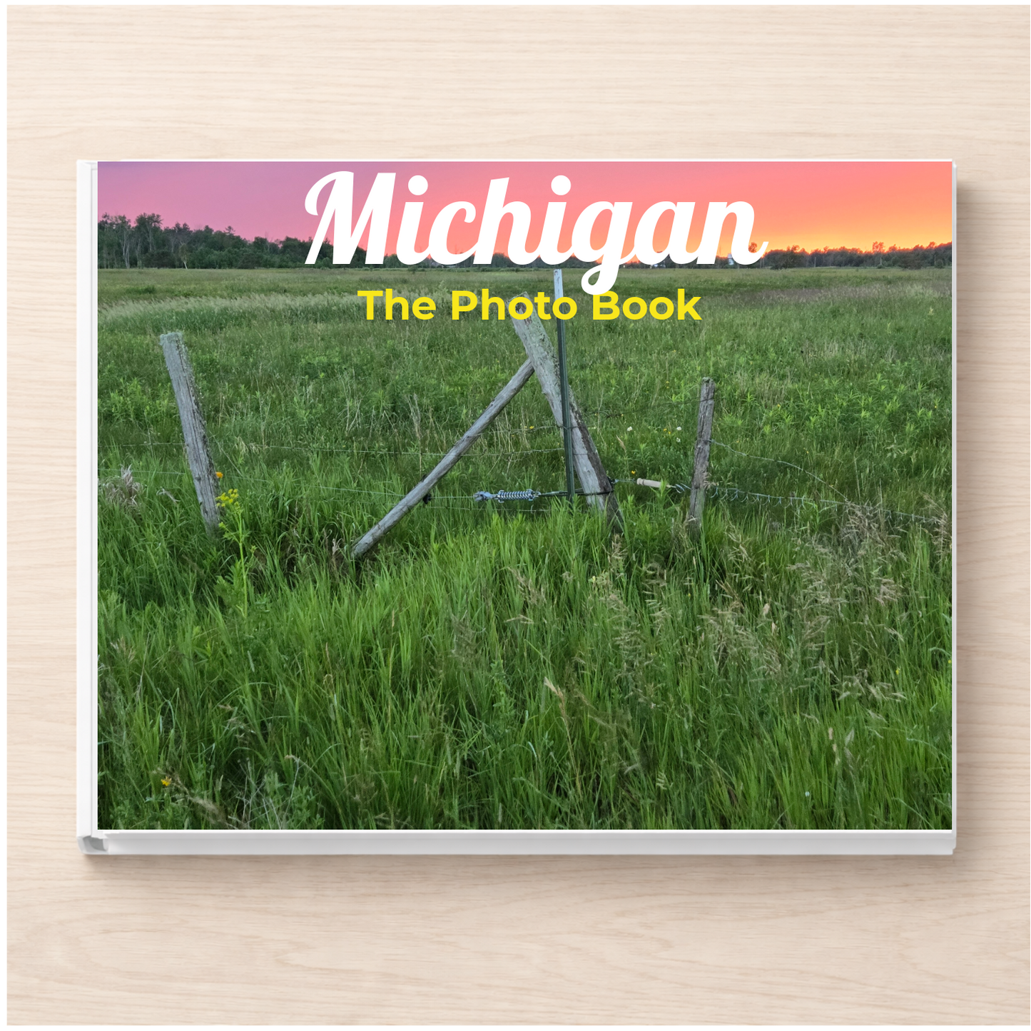 Michigan: The Photo Book