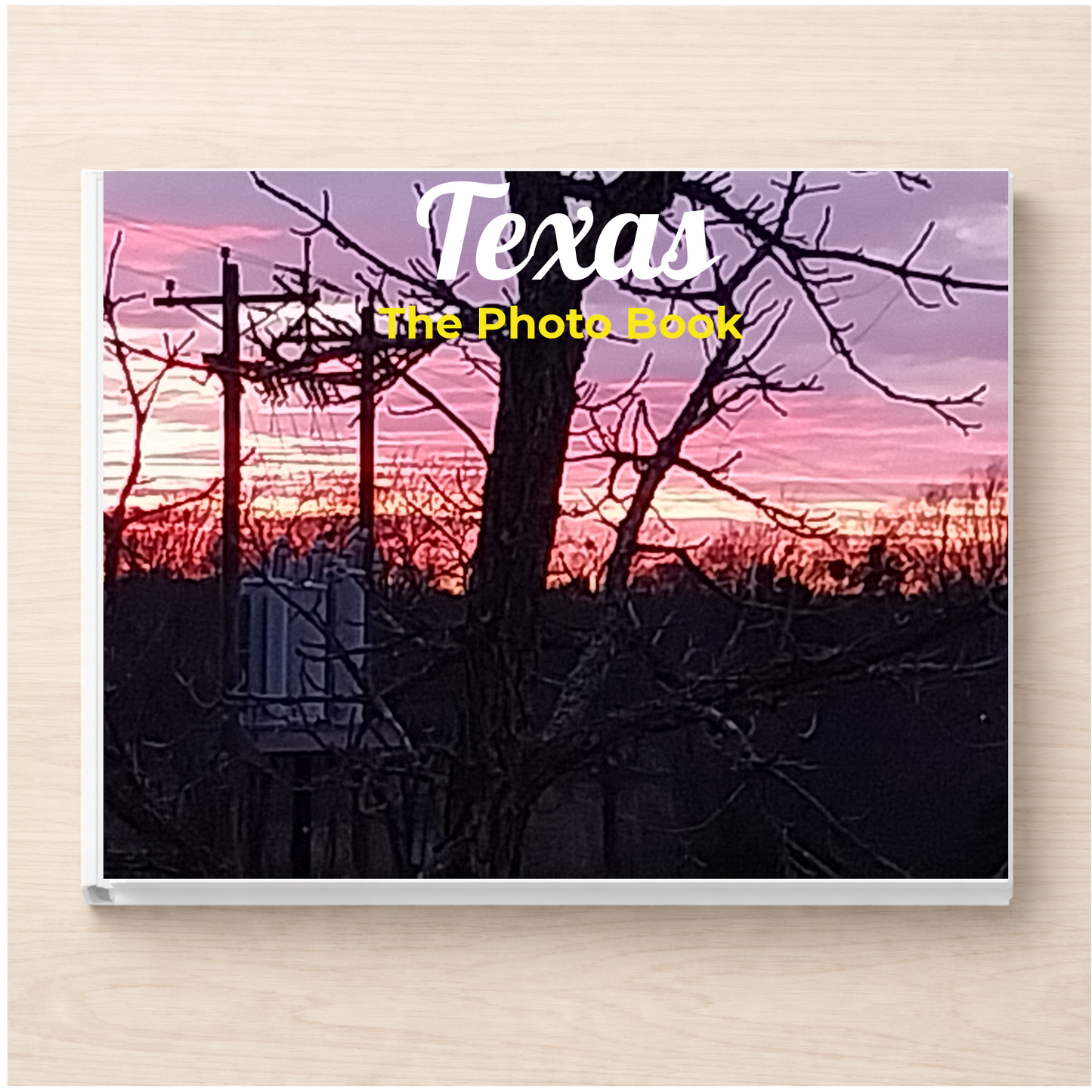Texas: The Photo Book