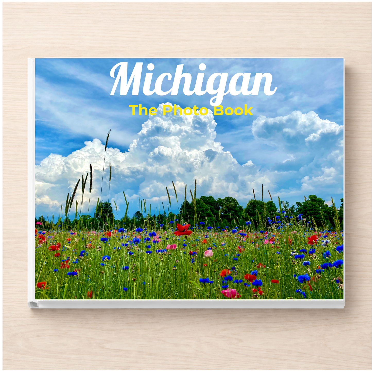 Michigan: The Photo Book