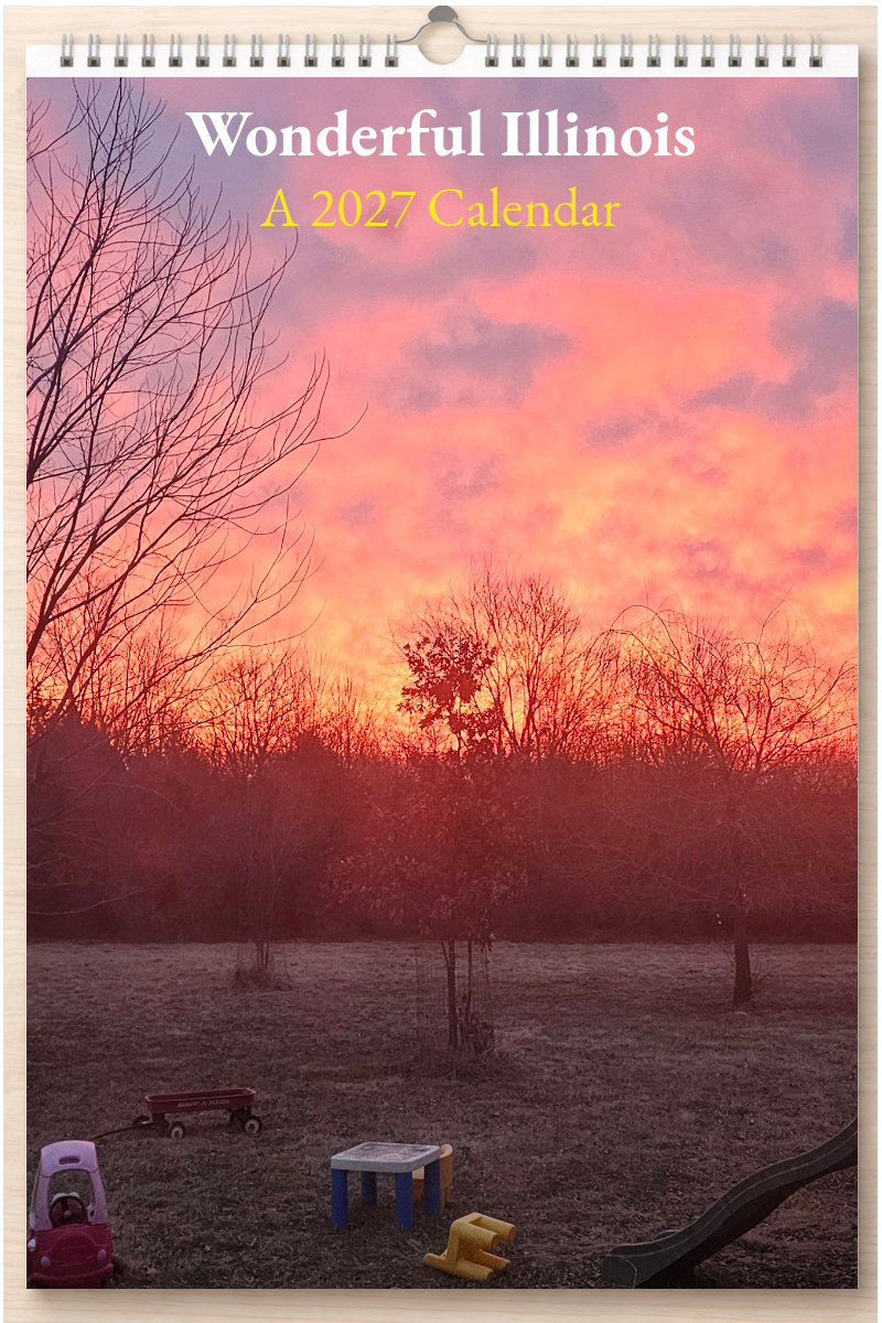 Wonderful Illinois: A 2027 Calendar