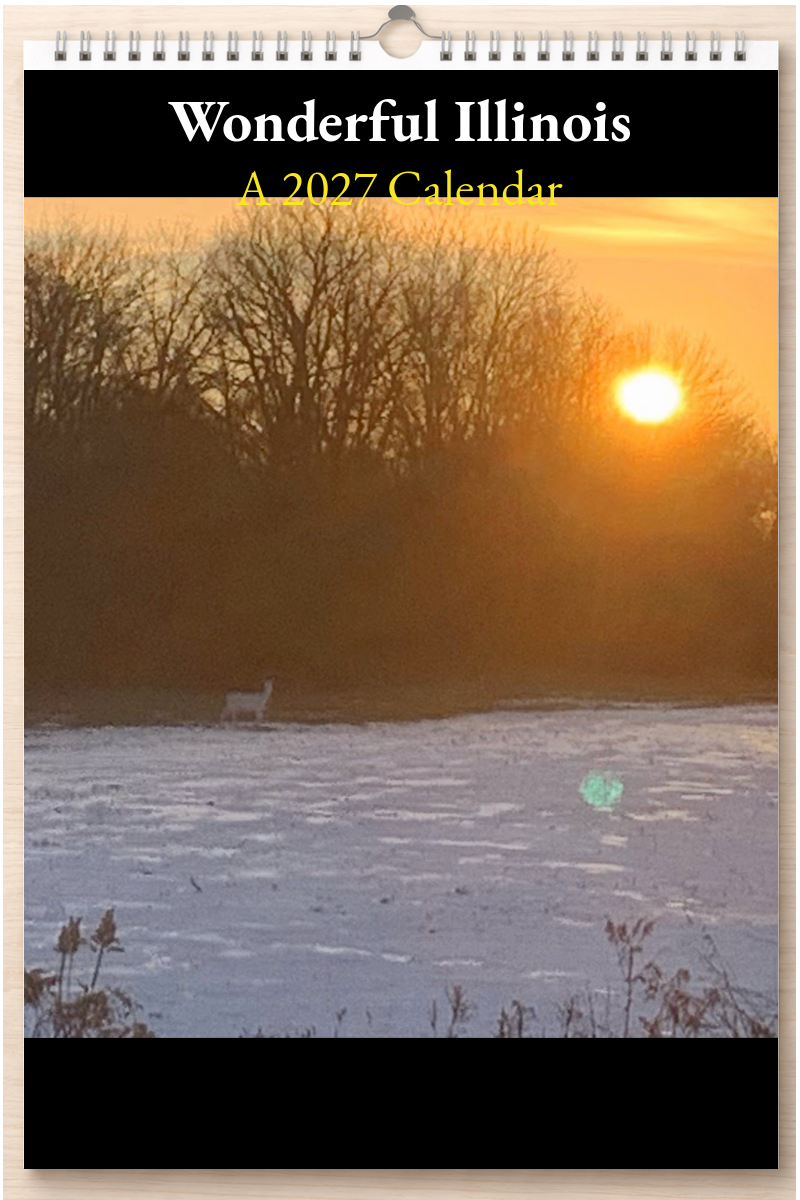 Wonderful Illinois: A 2027 Calendar