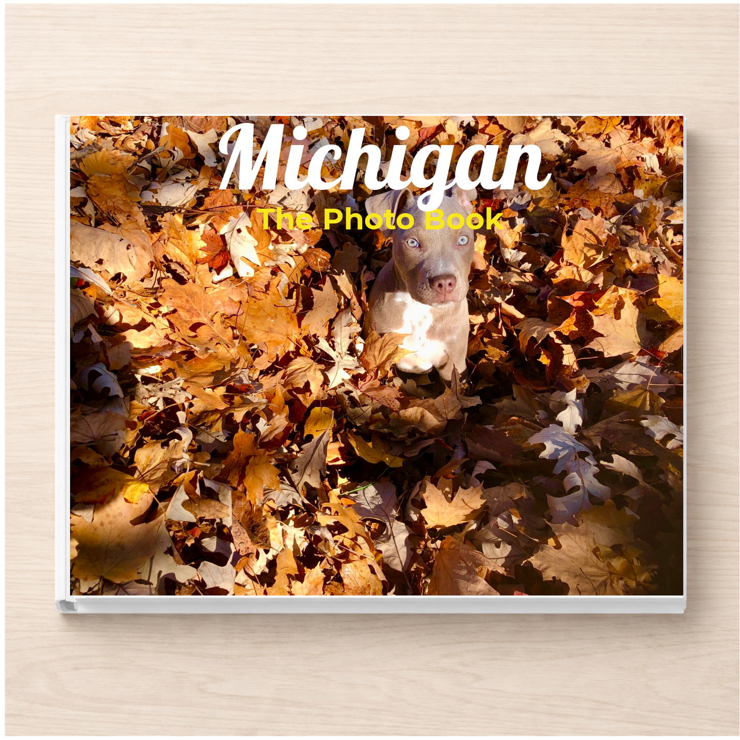 Michigan: The Photo Book