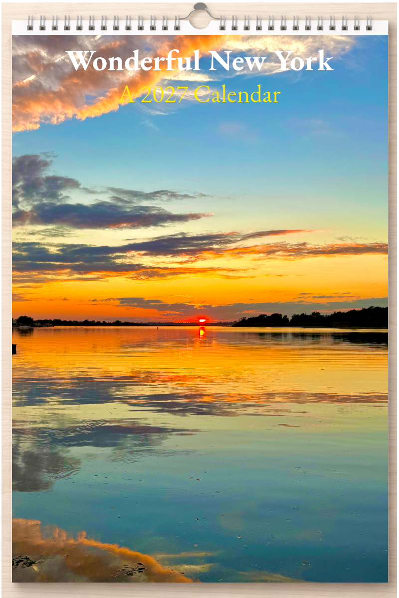Wonderful New York: A 2027 Calendar