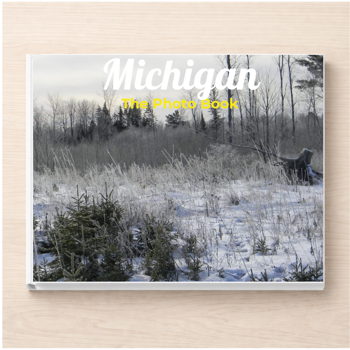 Michigan: The Photo Book