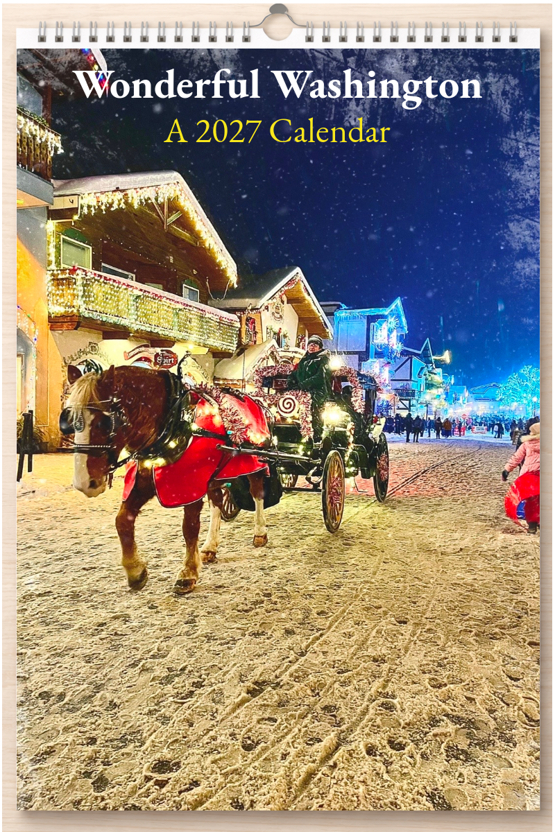Wonderful Washington: A 2027 Calendar
