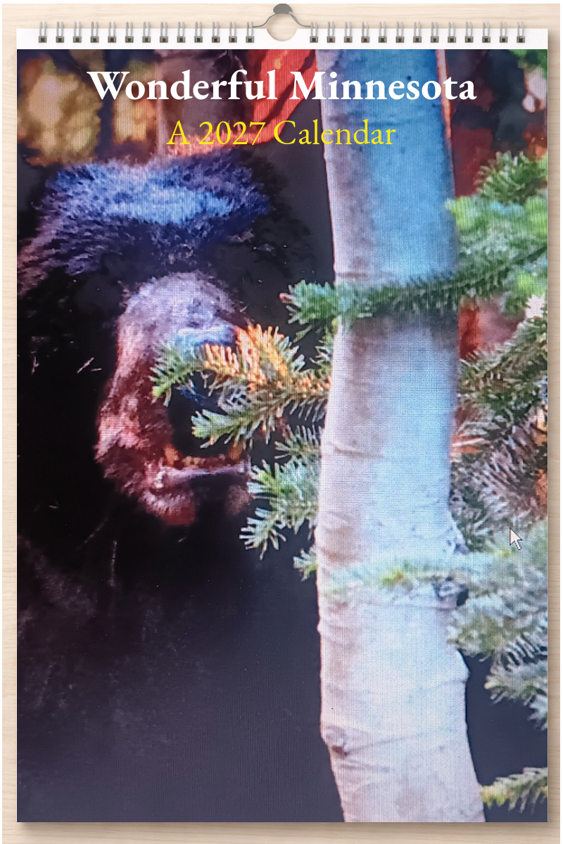 Wonderful Minnesota: A 2027 Calendar