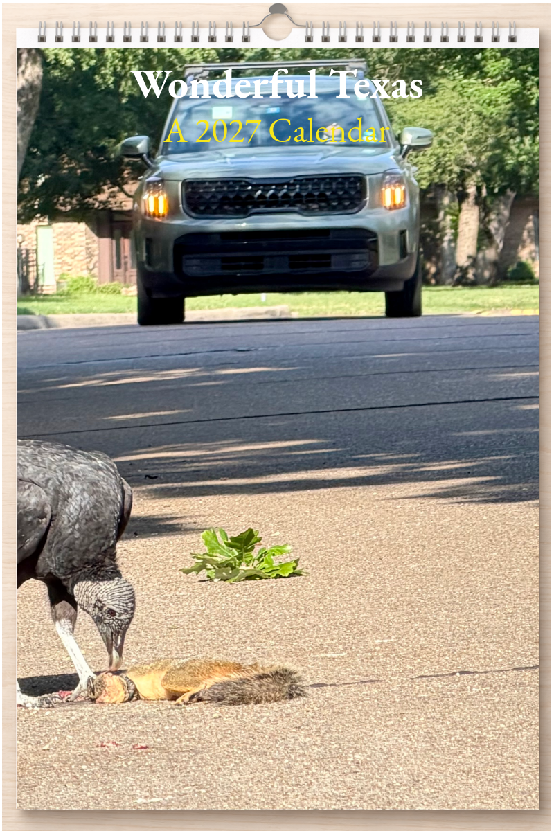 Wonderful Texas: A 2027 Calendar