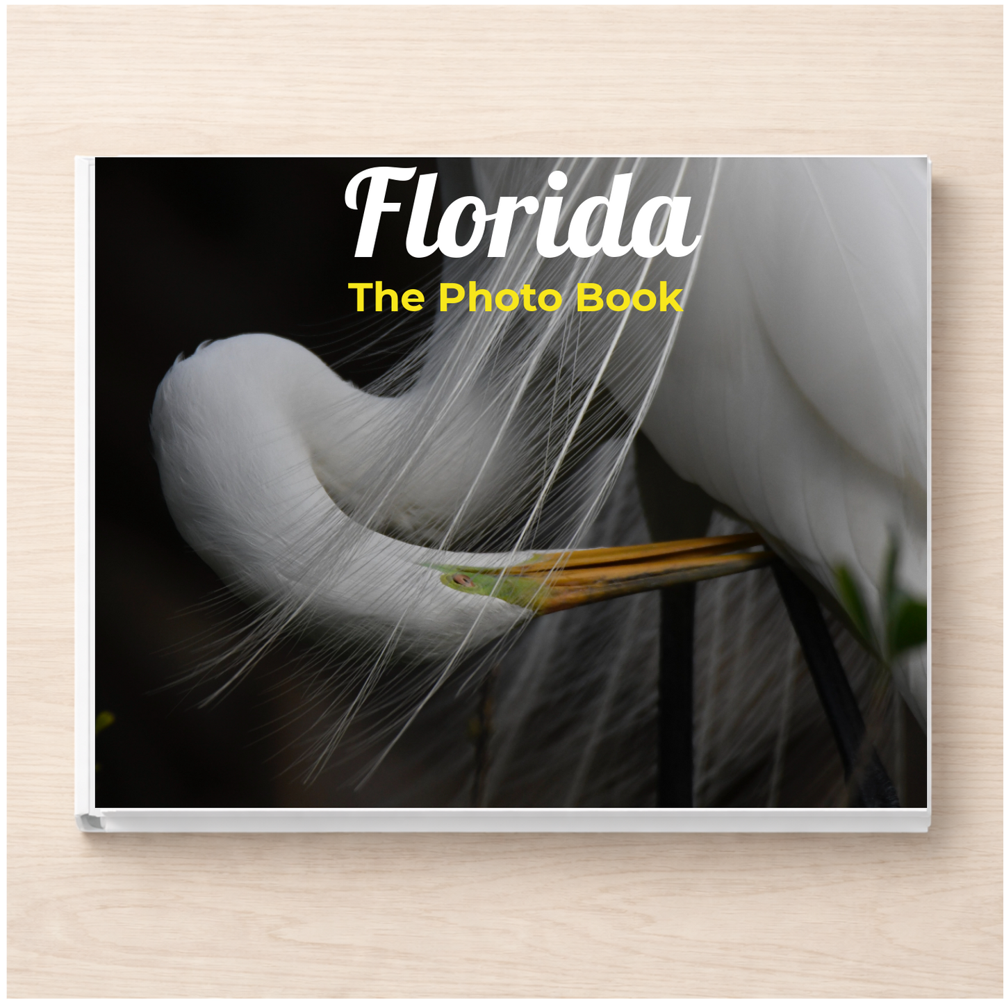 Florida: The Photo Book