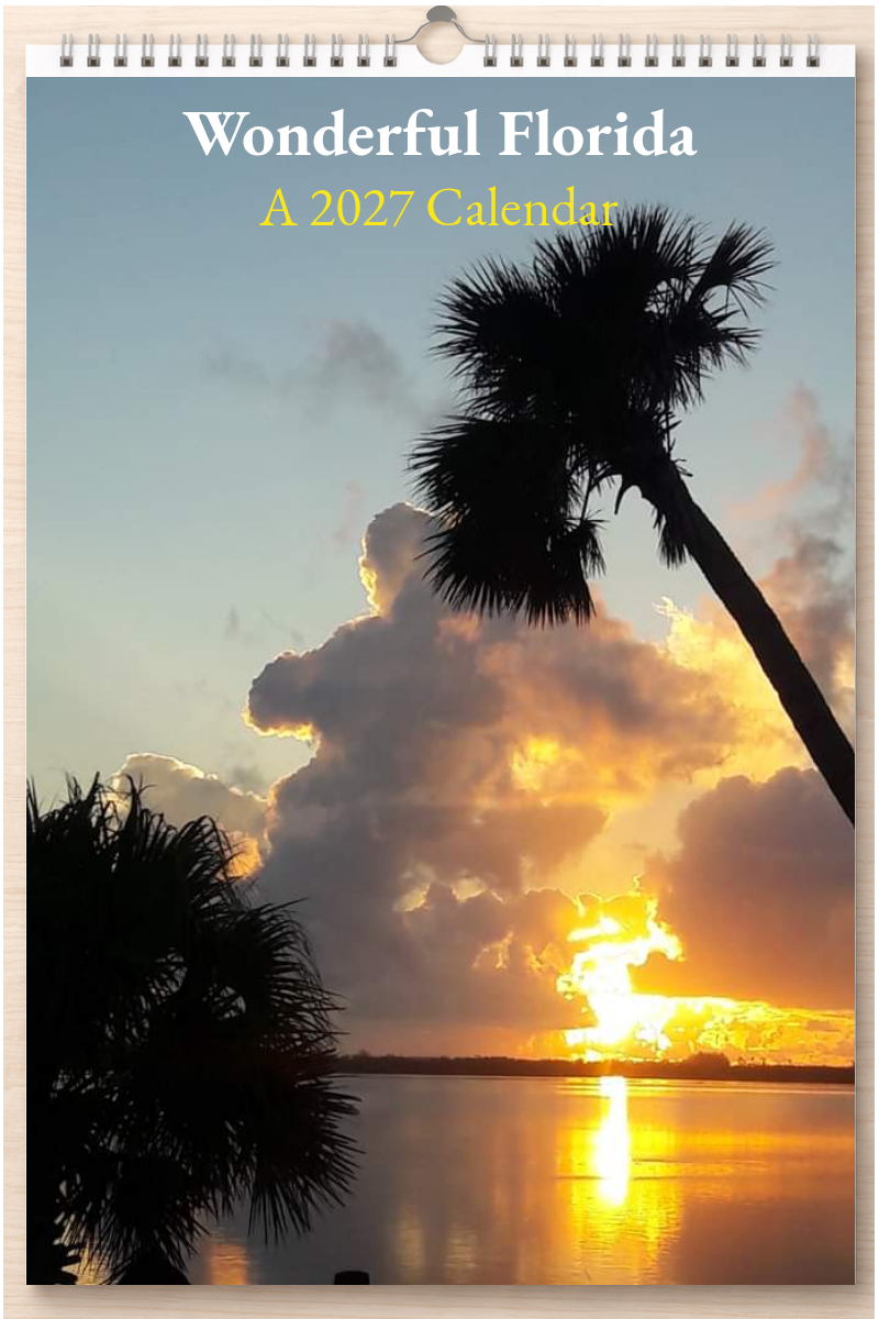 Wonderful Florida: A 2027 Calendar