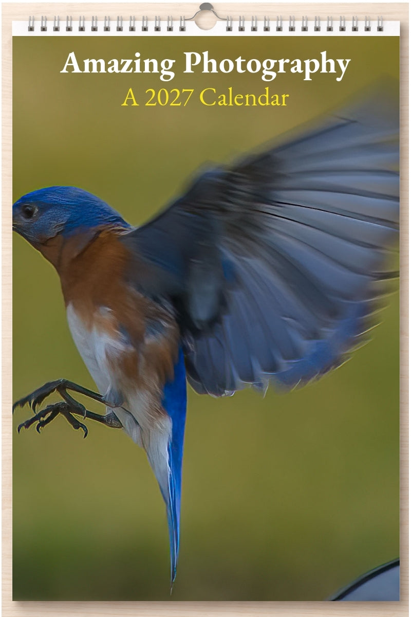 Amazing Photography: A 2027 Calendar