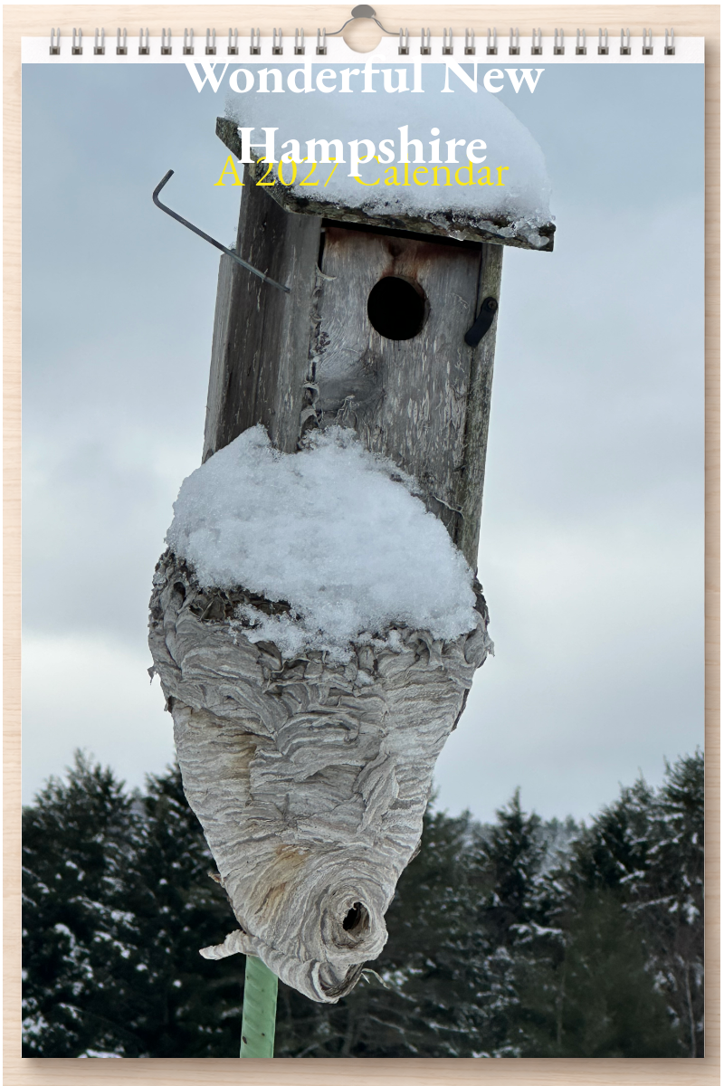 Wonderful New Hampshire: A 2027 Calendar