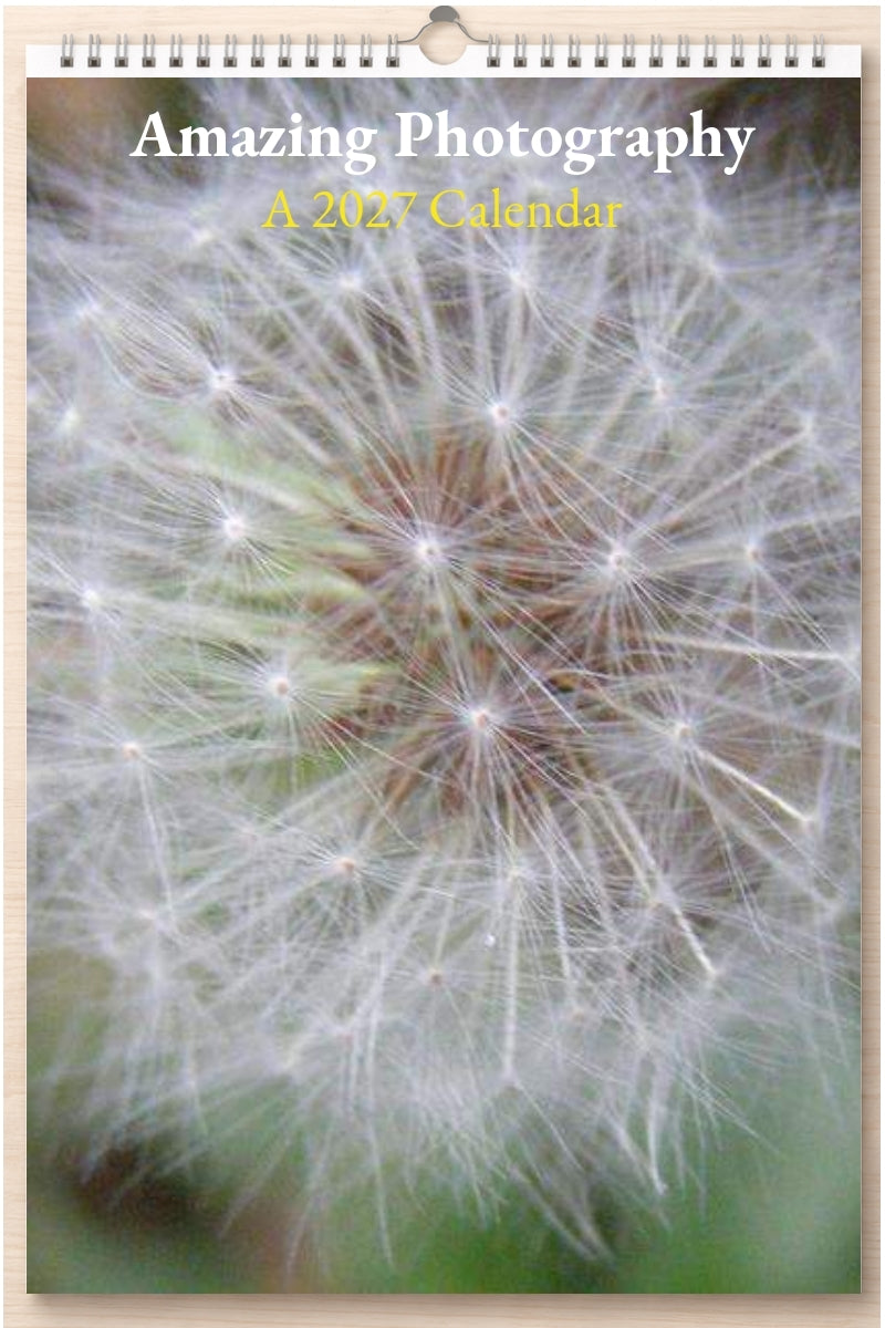 Amazing Photography: A 2027 Calendar