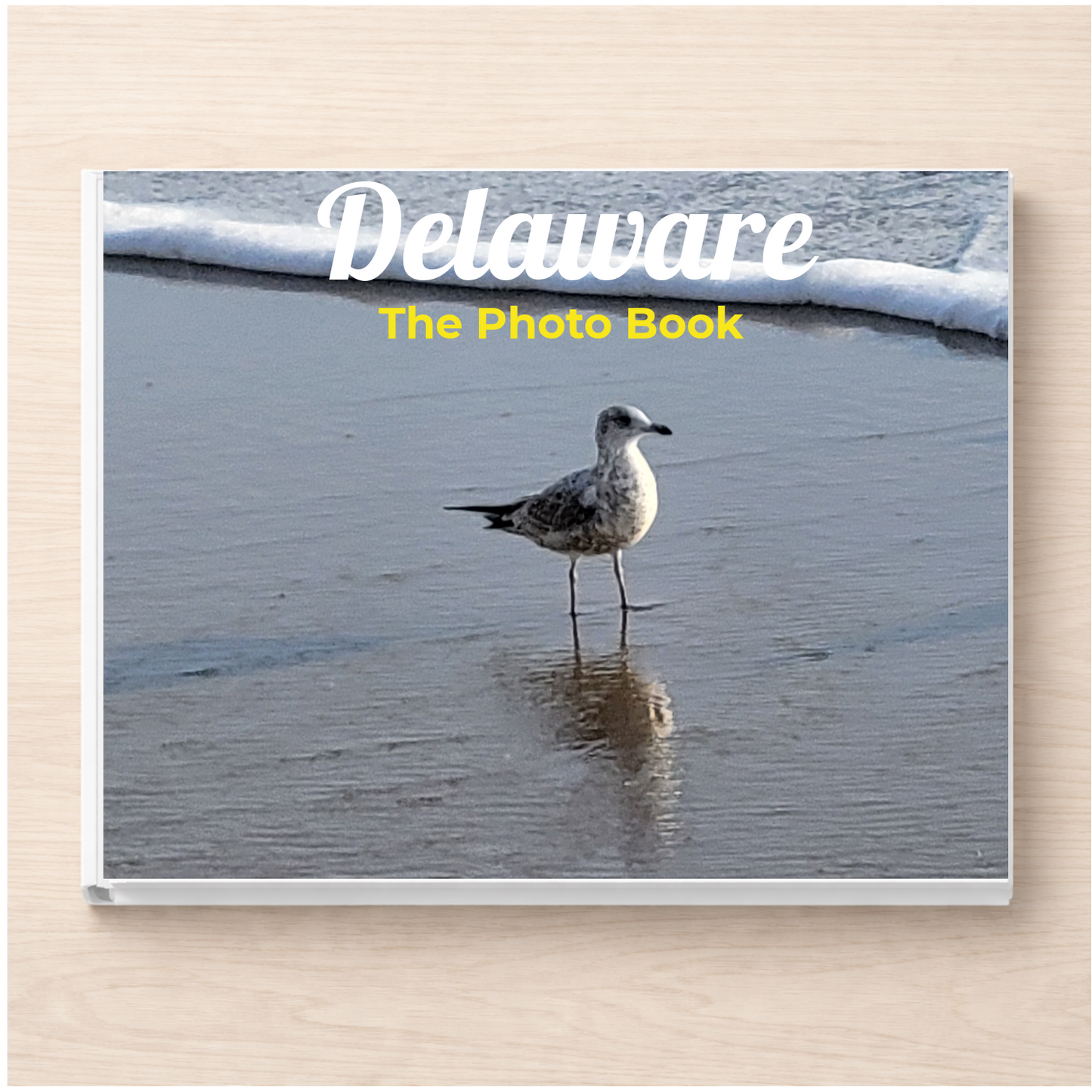 Delaware: The Photo Book
