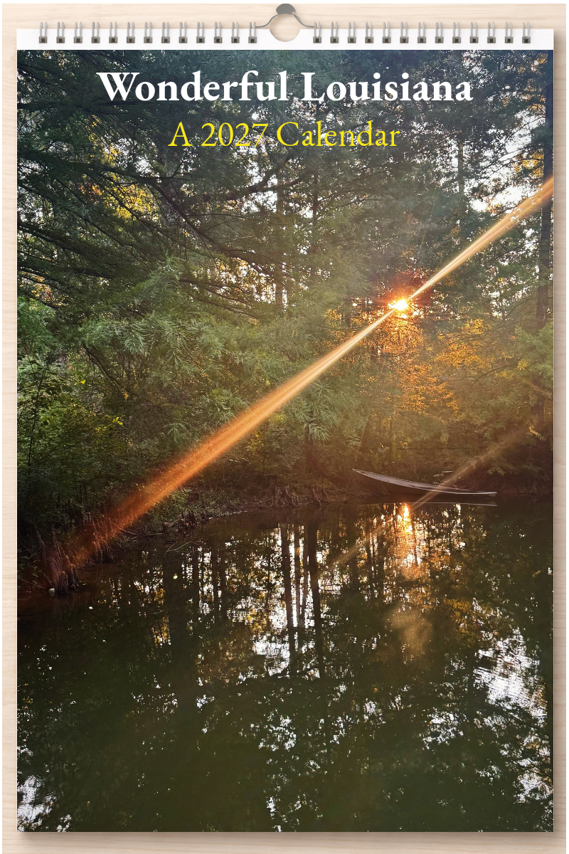 Wonderful Louisiana: A 2027 Calendar