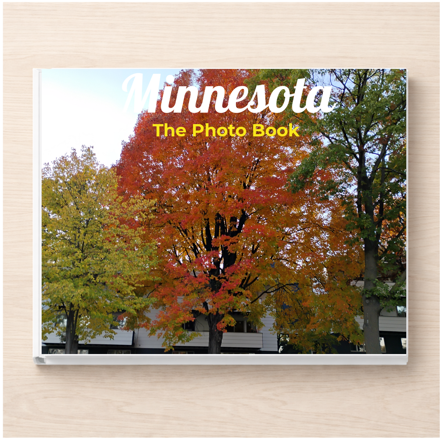 Minnesota: The Photo Book
