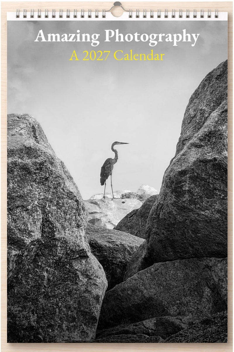 Amazing Photography: A 2027 Calendar