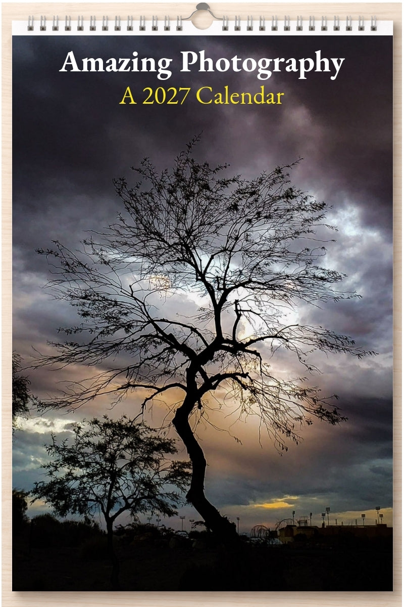 Amazing Photography: A 2027 Calendar