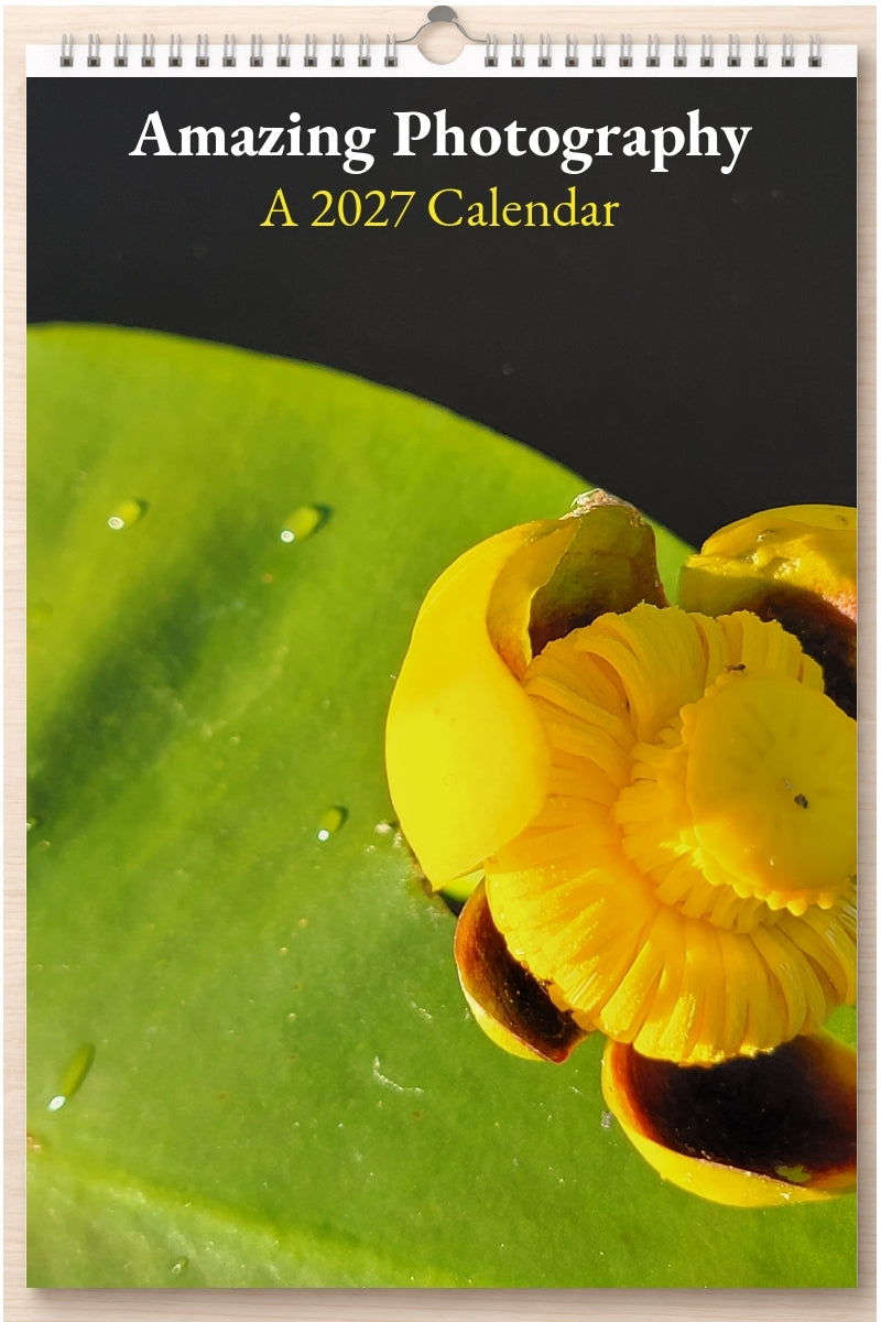 Amazing Photography: A 2027 Calendar