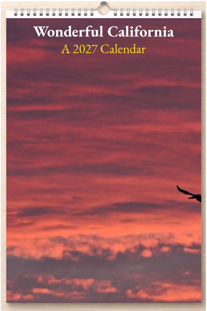 Wonderful California: A 2027 Calendar