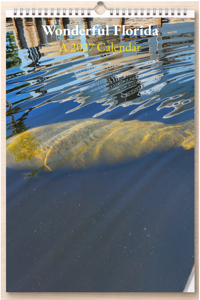 Wonderful Florida: A 2027 Calendar