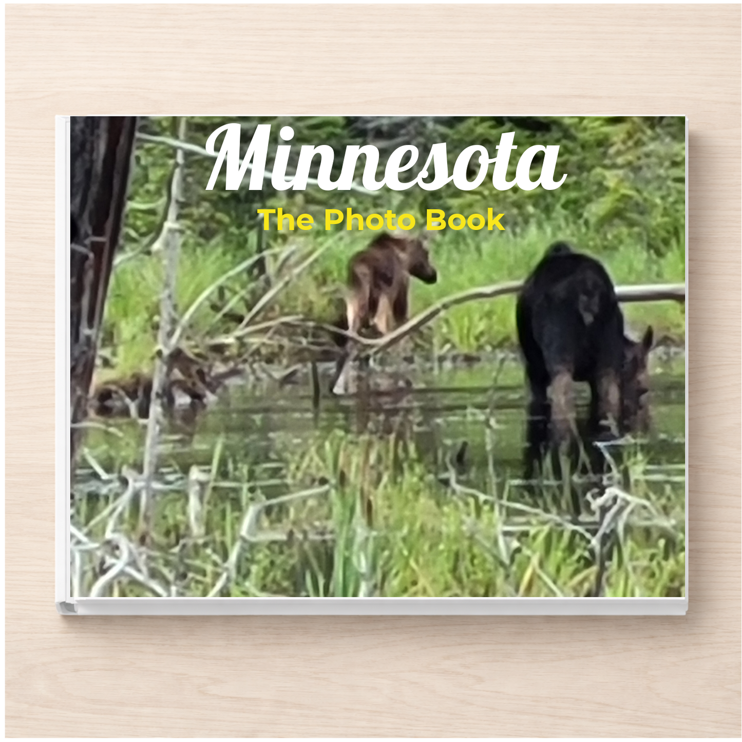 Minnesota: The Photo Book