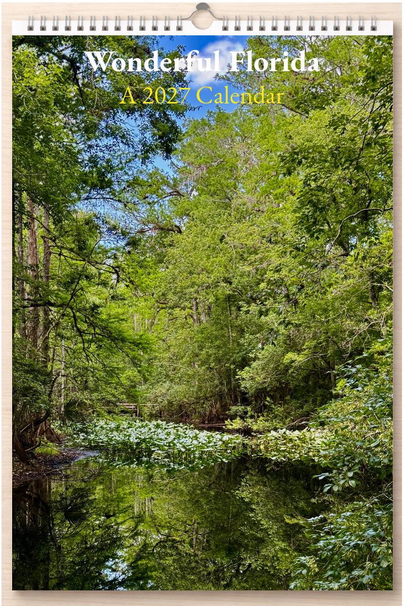 Wonderful Florida: A 2027 Calendar