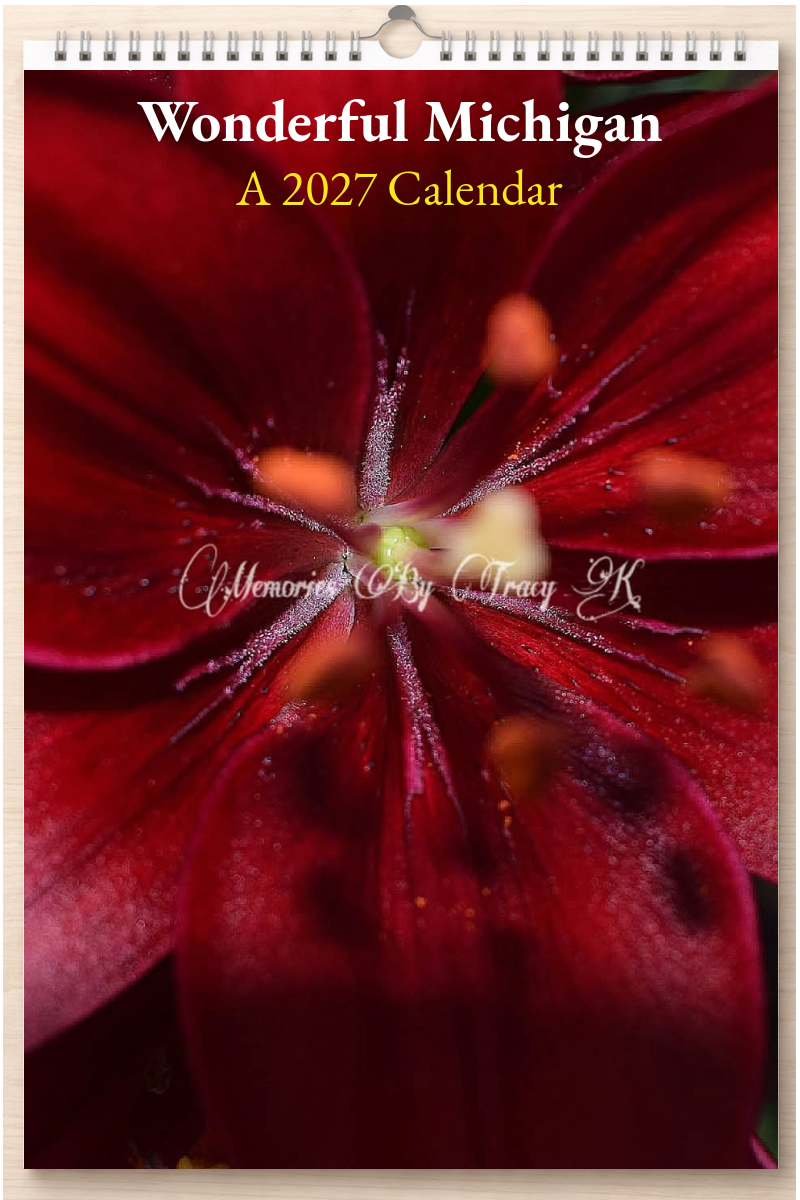 Wonderful Michigan: A 2027 Calendar