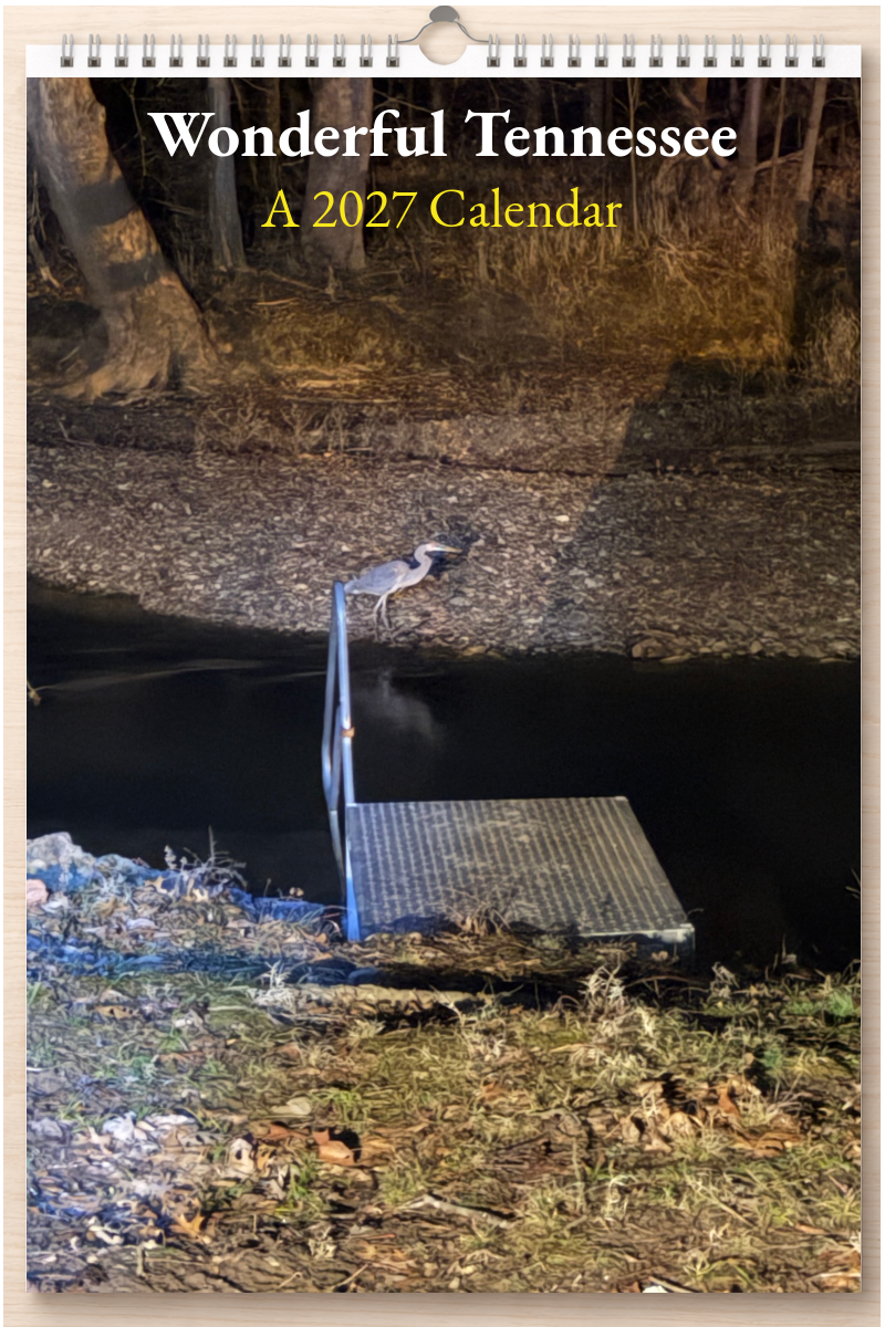 Wonderful Tennessee: A 2027 Calendar