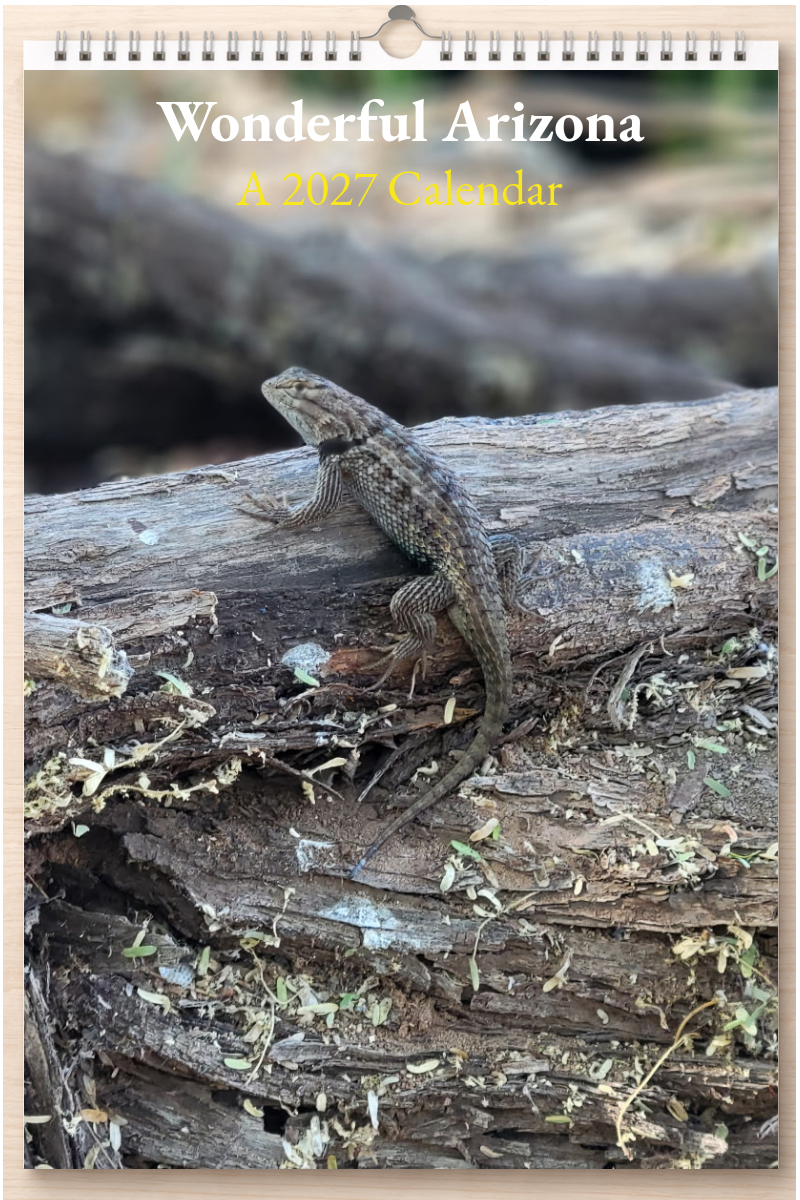 Wonderful Arizona: A 2027 Calendar